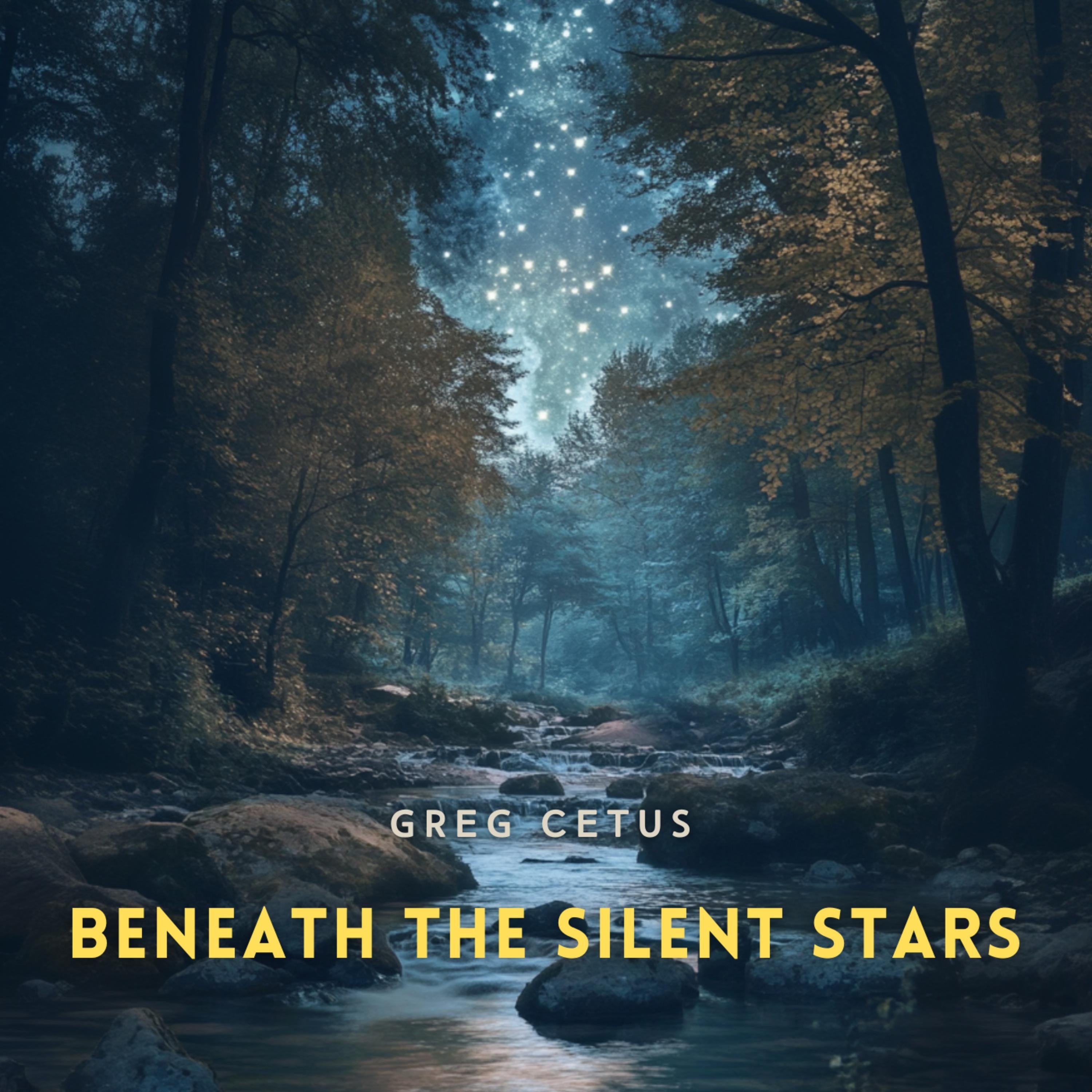 Beneath the Silent Stars: Cricket Chorus and Stream Ambience
