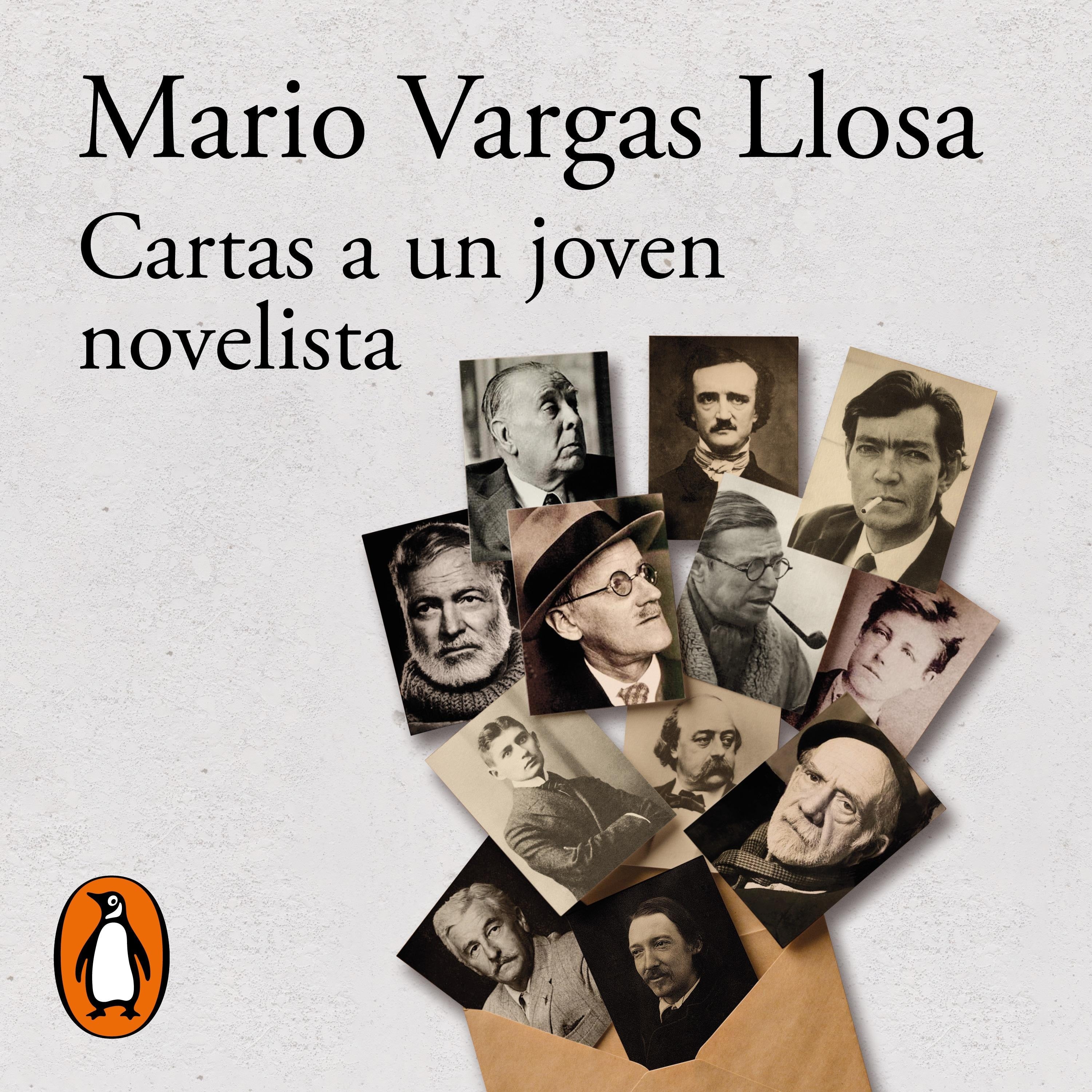 Cartas a un joven novelista