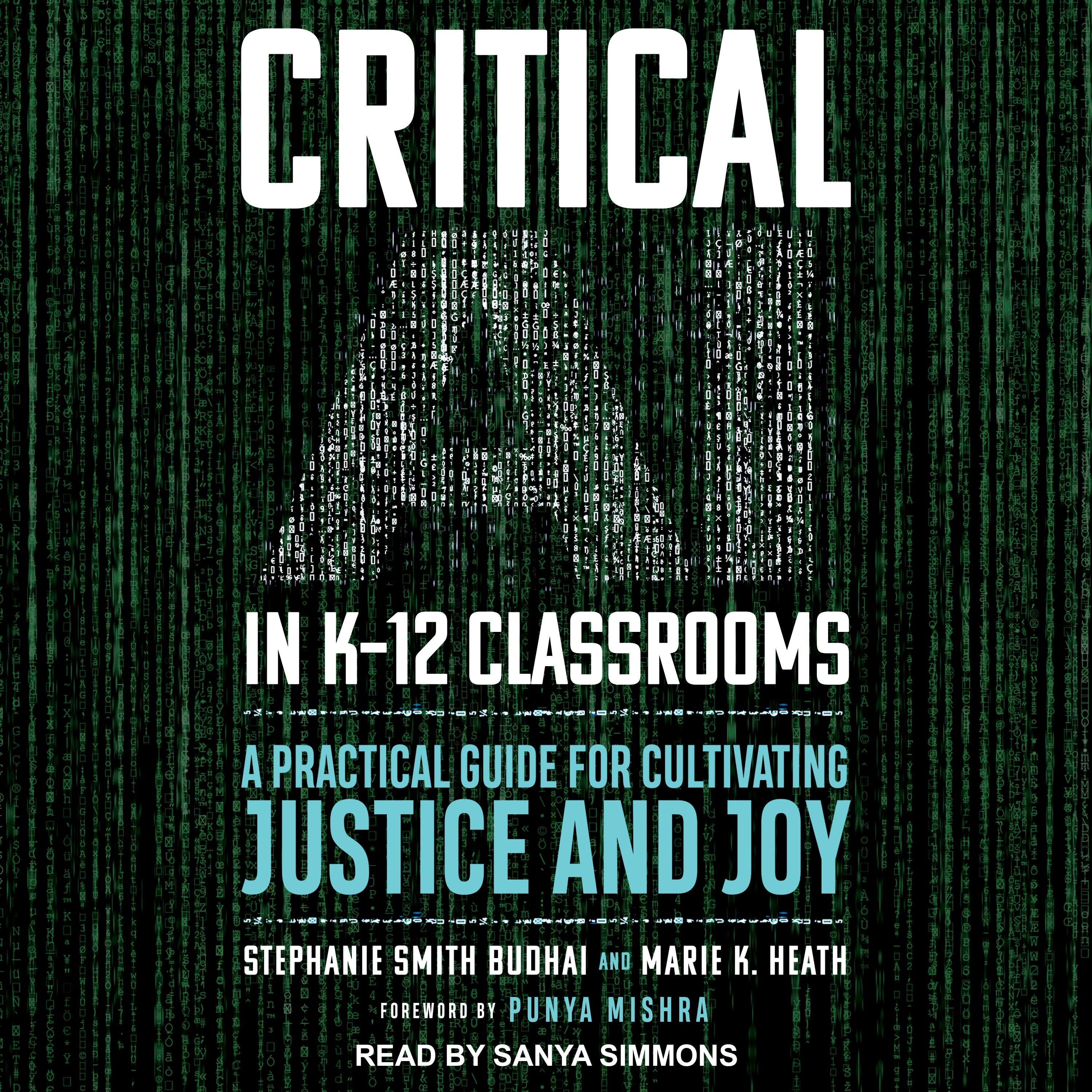 Critical AI in K-12 Classrooms