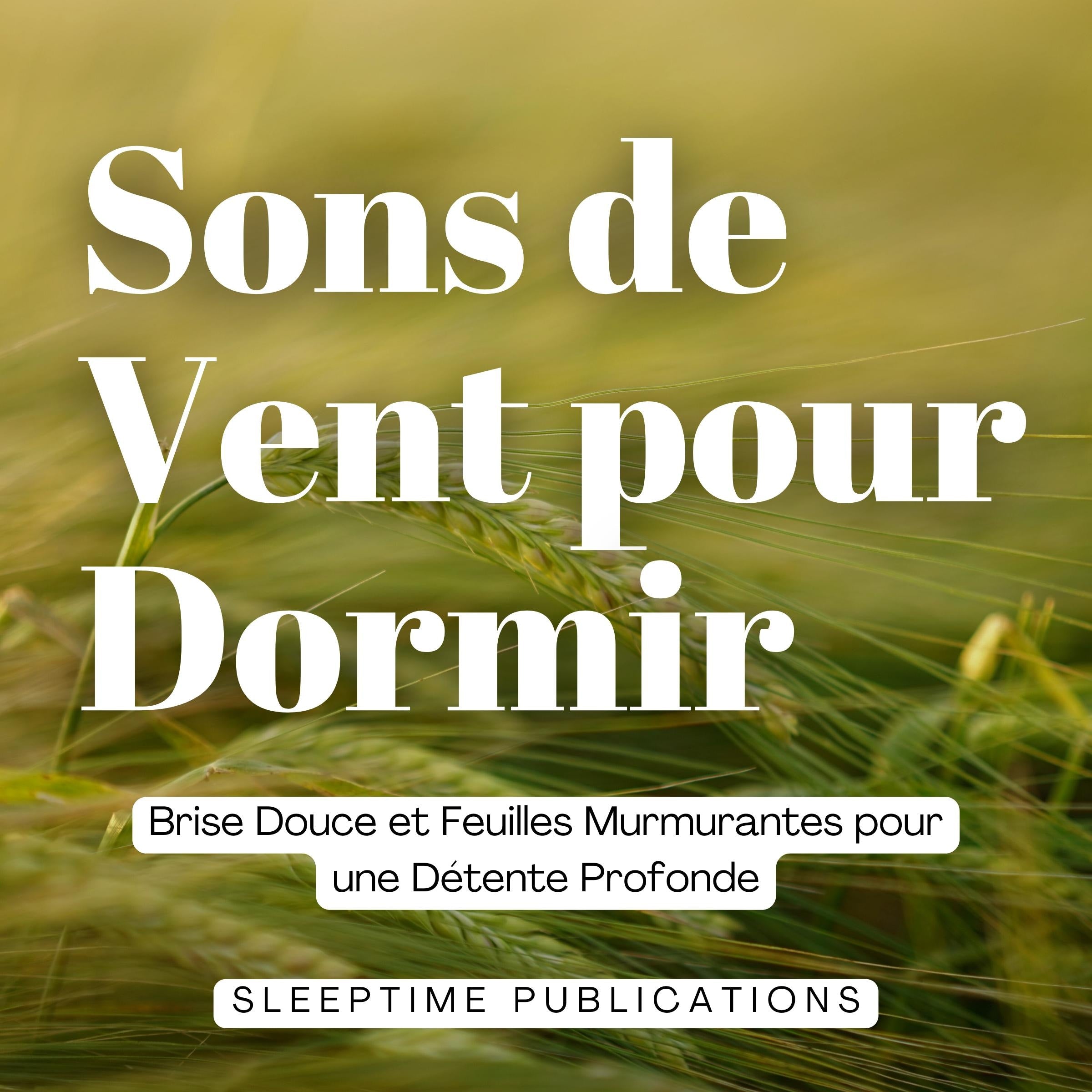 Sons de Vent pour Dormir