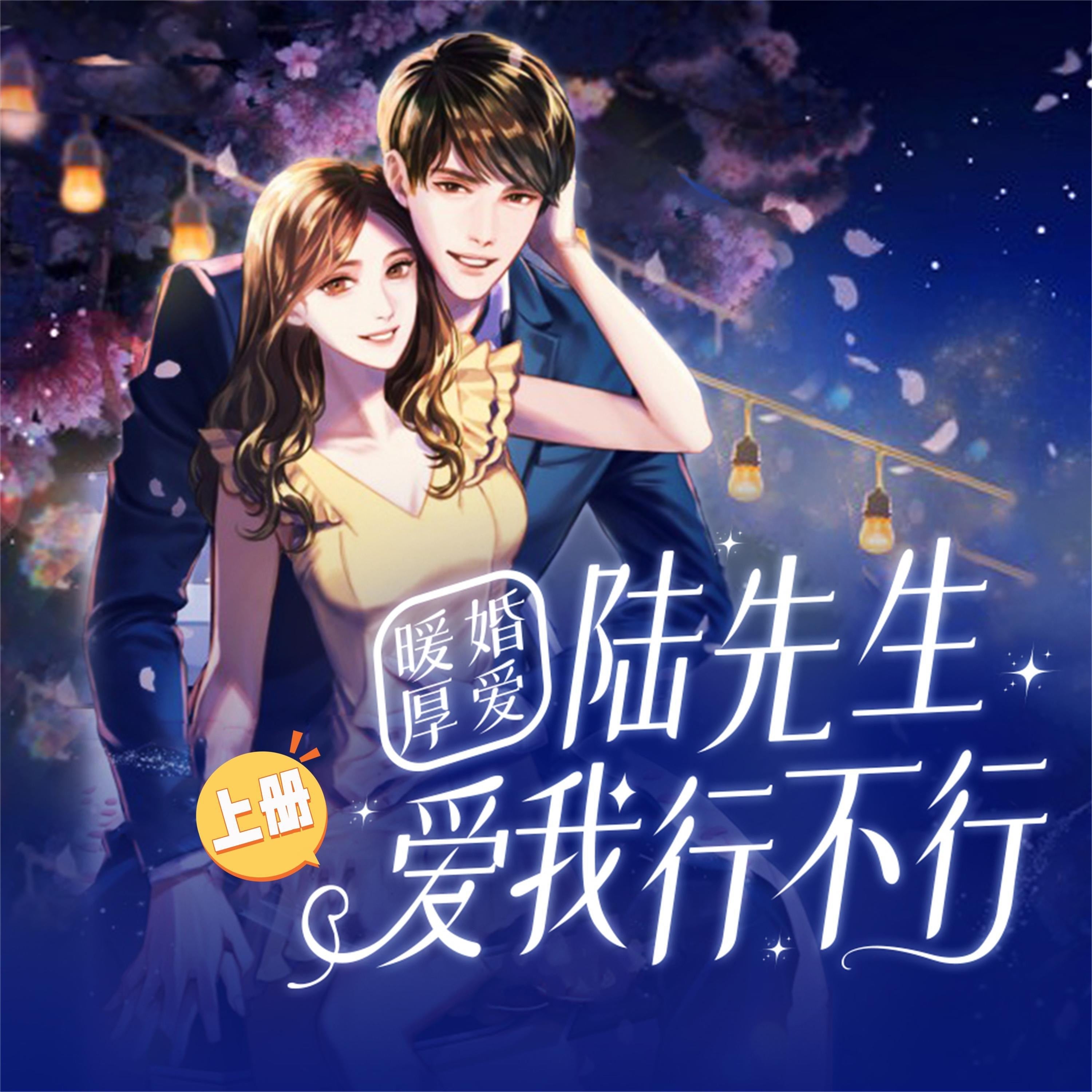 暖婚厚爱：陆先生，爱我行不行（上）