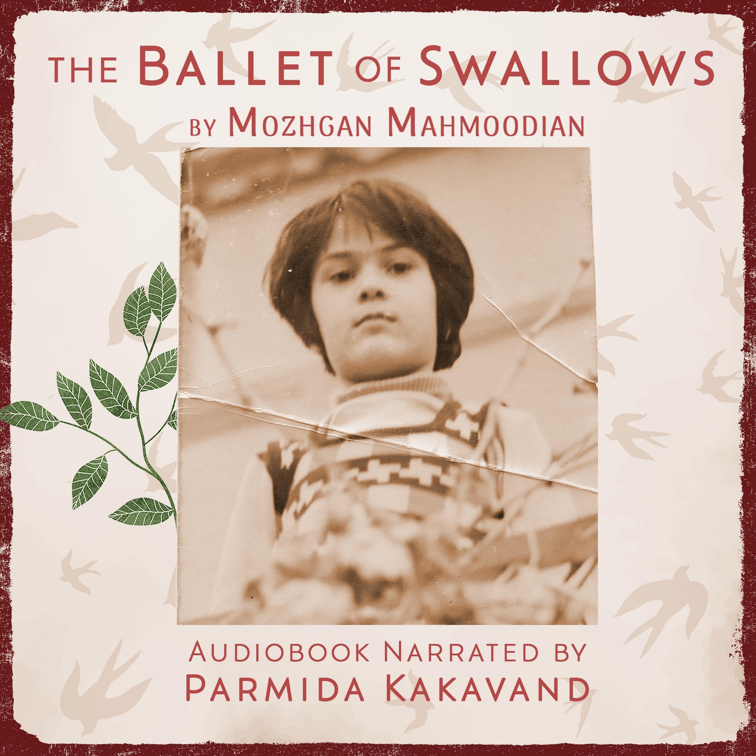 The Ballet of Swallows