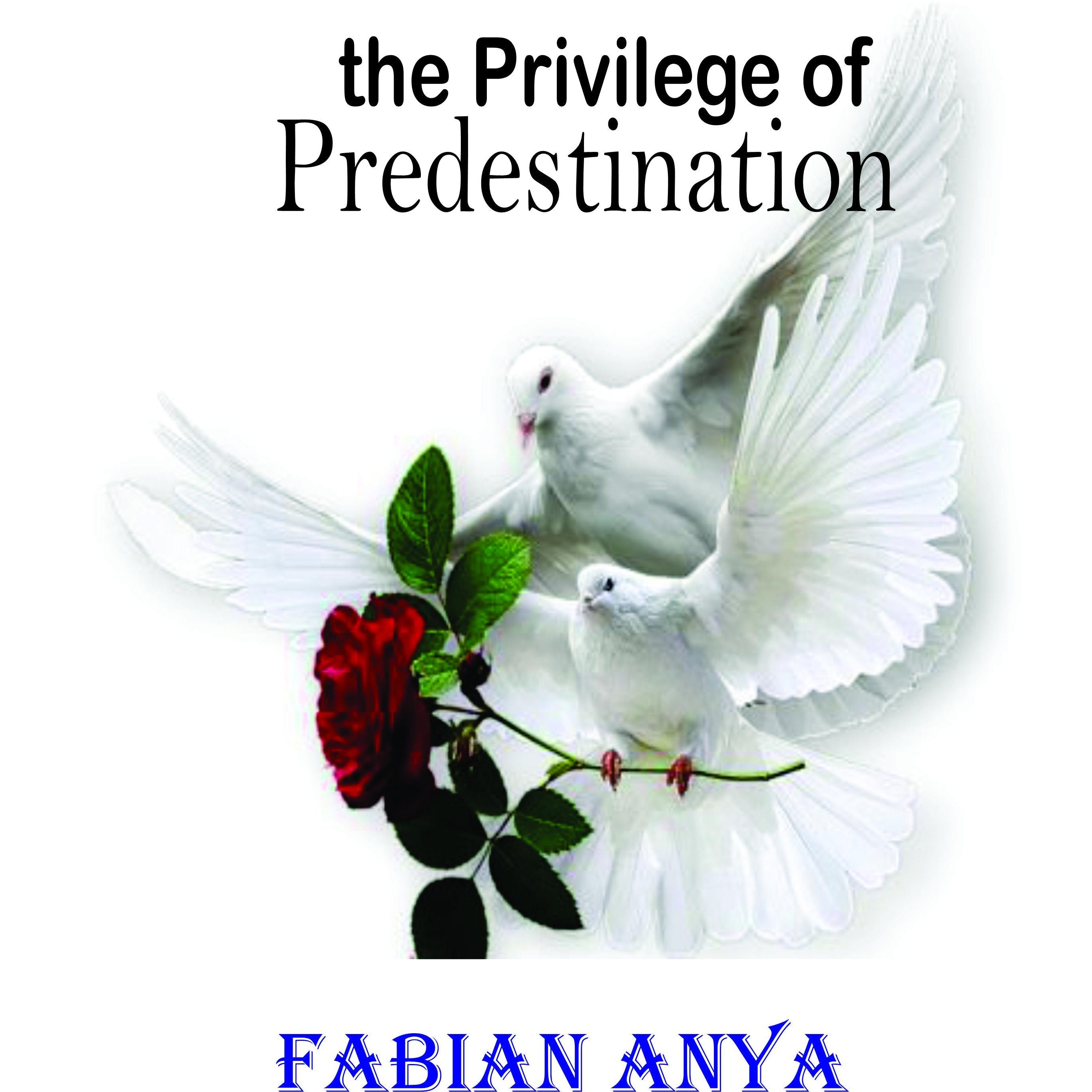 the Privilege of Predestination