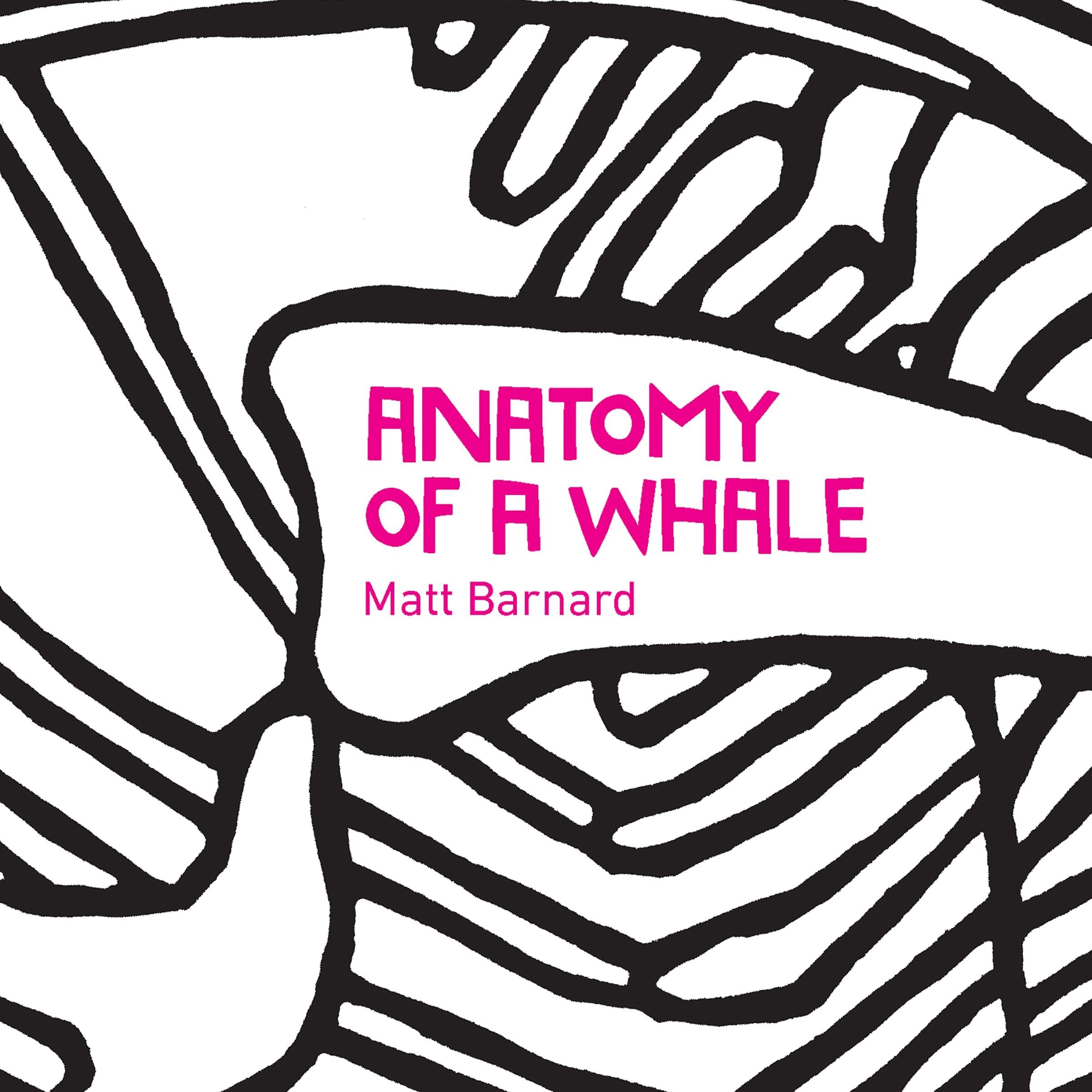 Anatomy of a Whale