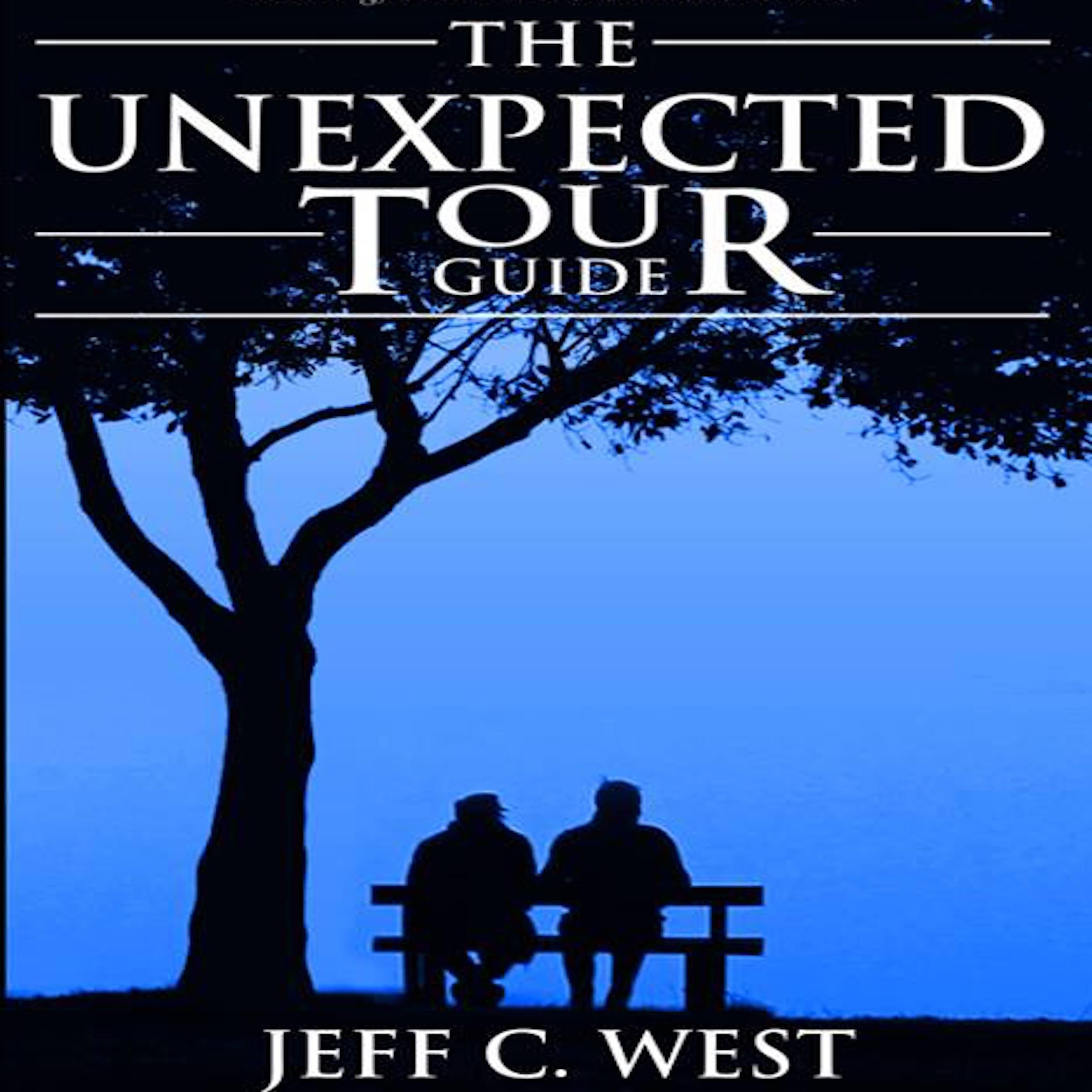 The Unexpected Tour Guide