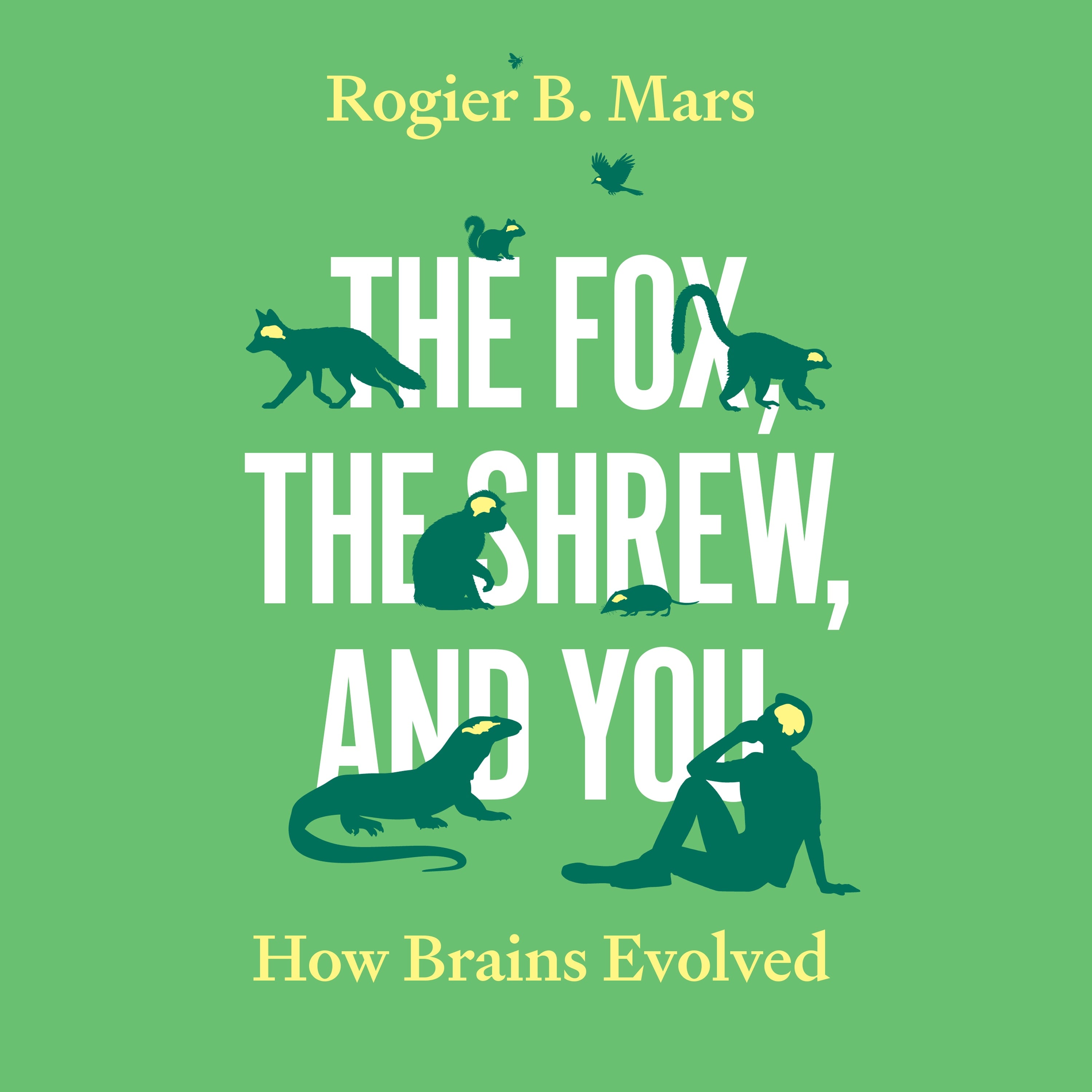 The Fox, the Shrew, and You