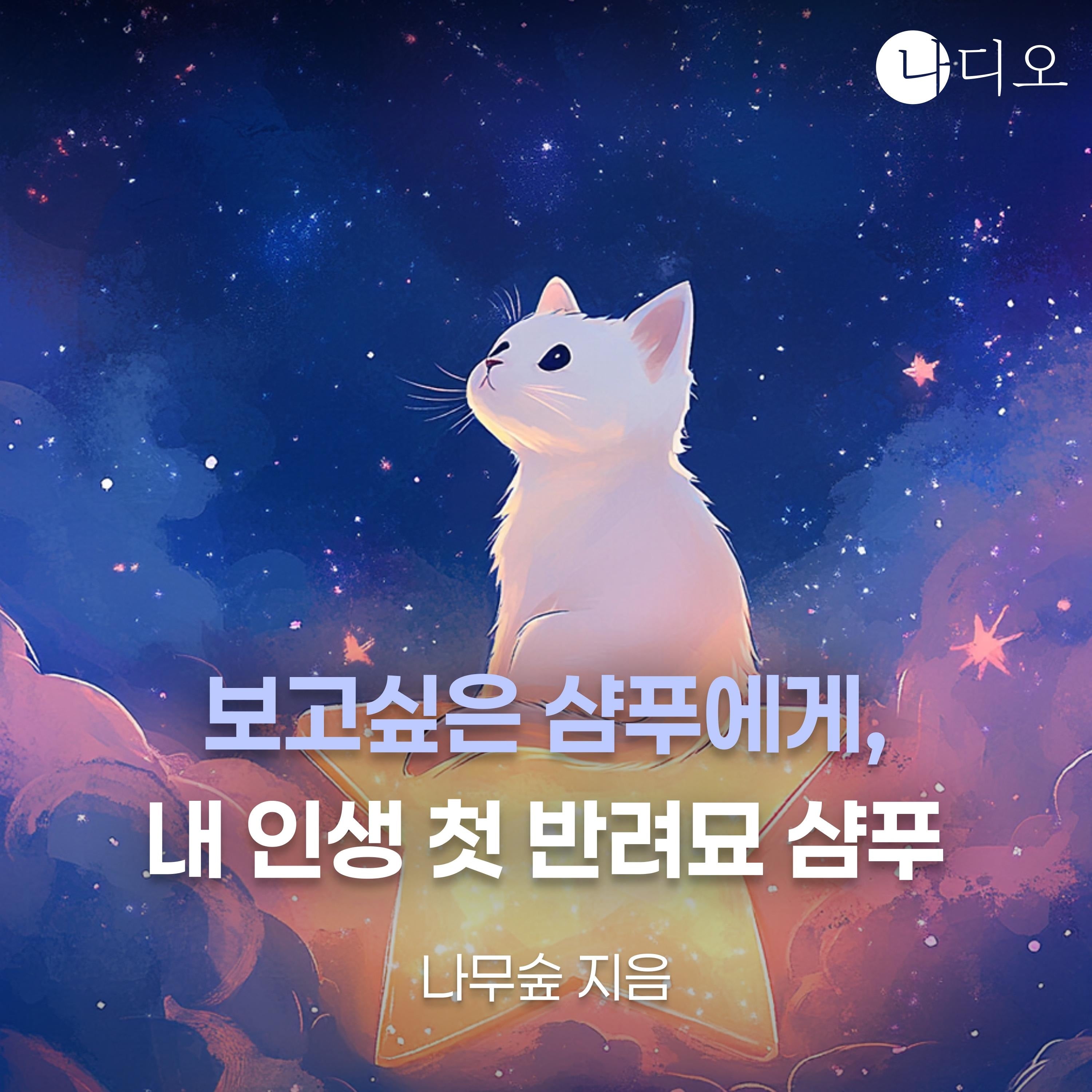 보고싶은 샴푸에게, 내 인생 첫 반려묘 샴푸