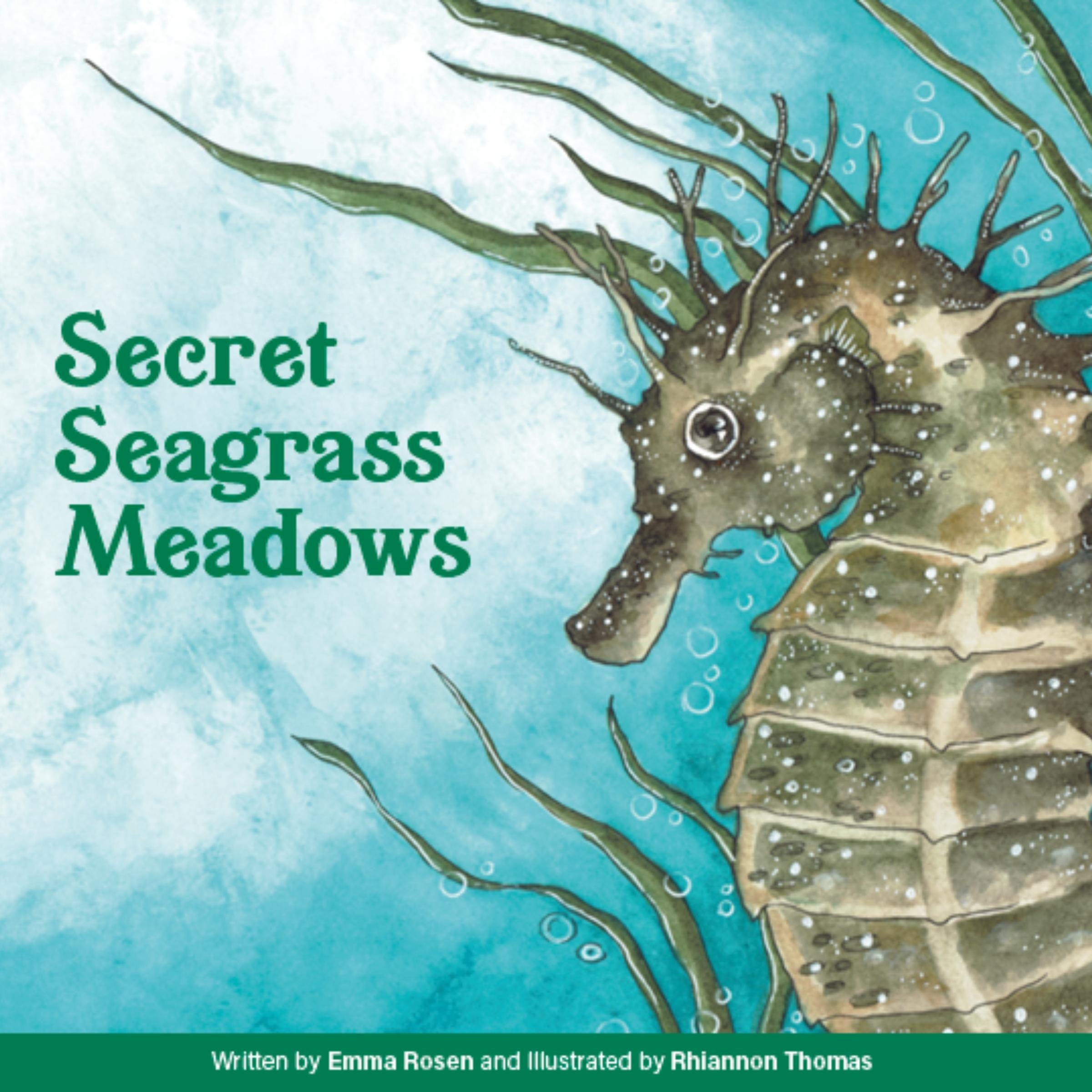 Secret Seagrass Meadows