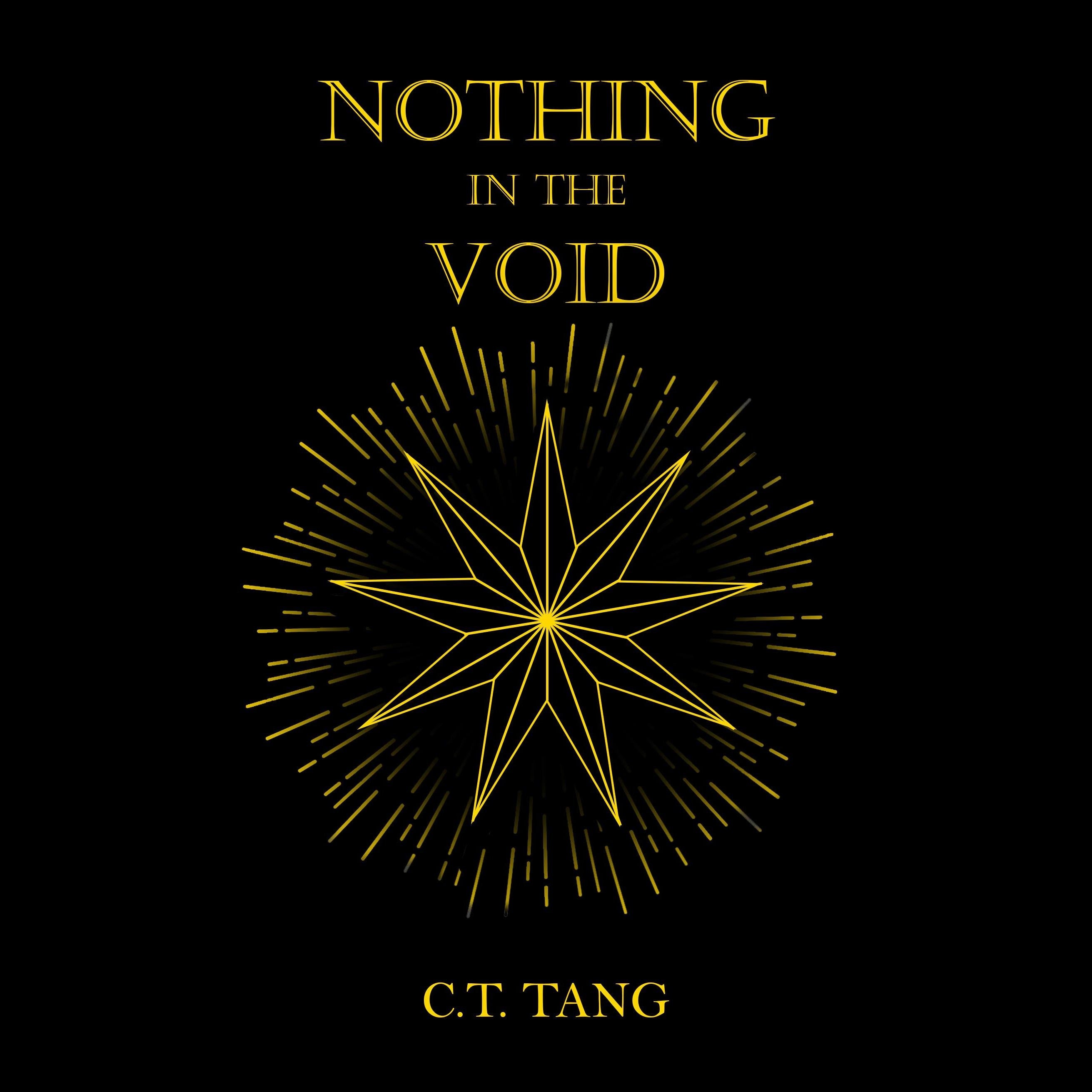 Nothing in the Void