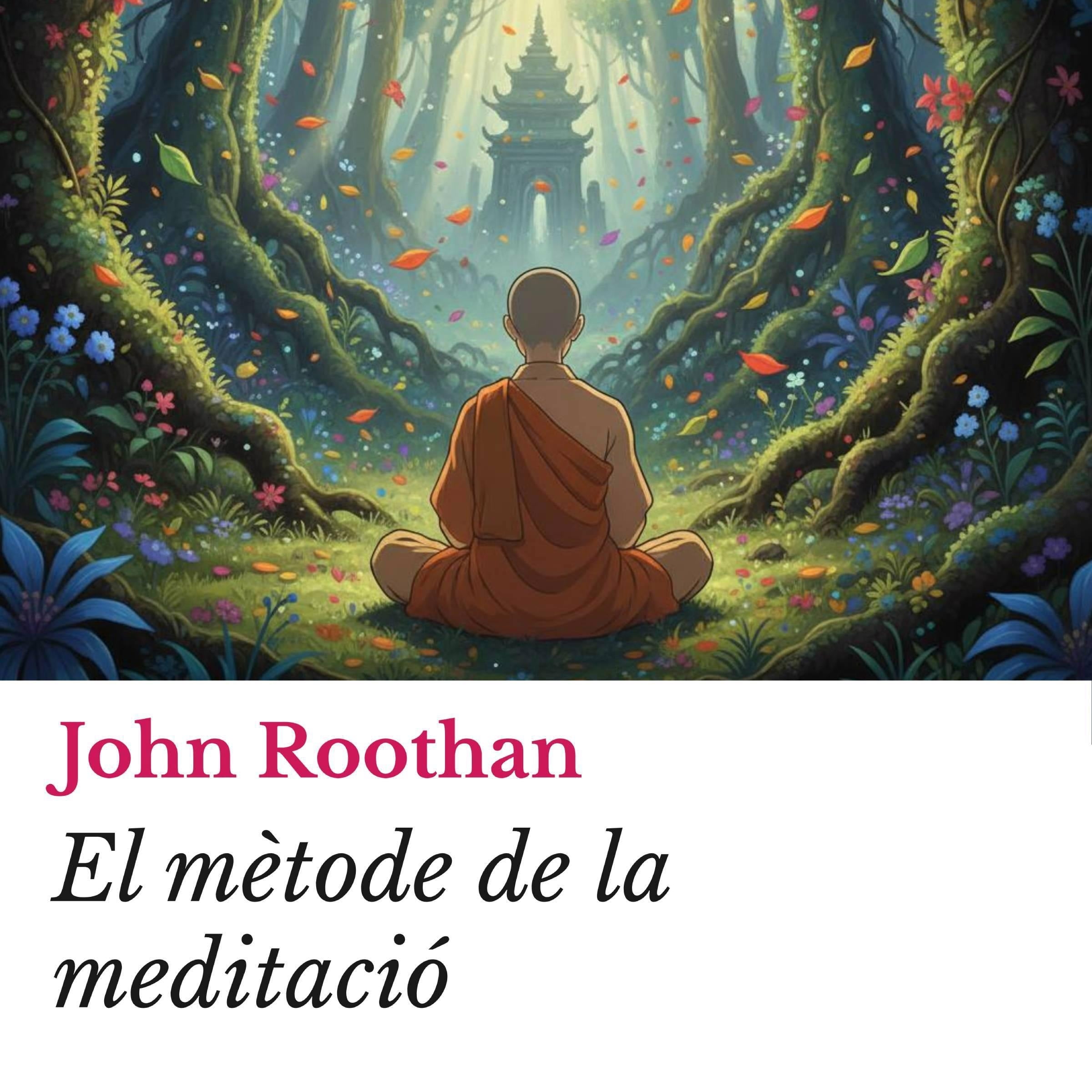 El mètode de la meditació