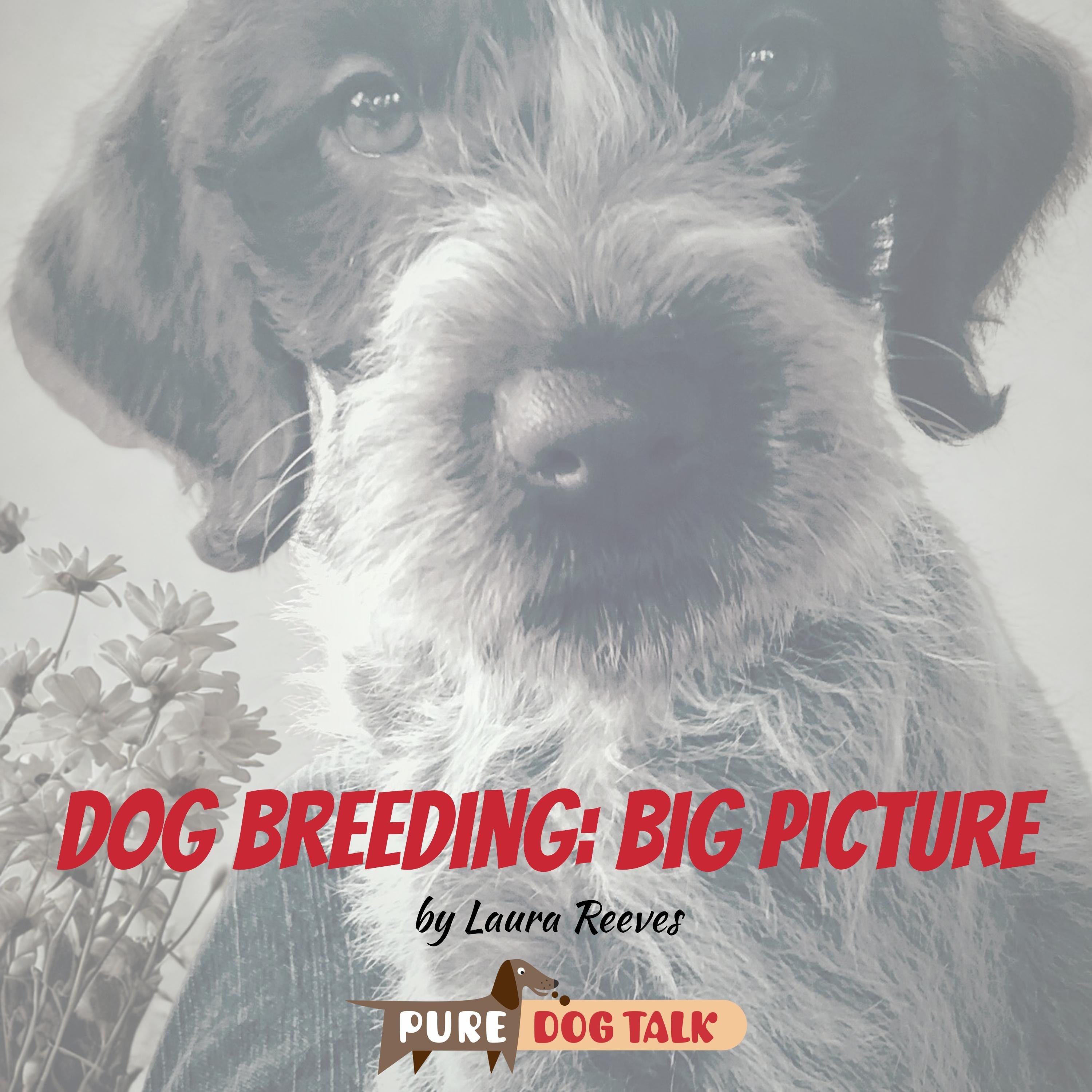 Dog Breeding: Big Picture