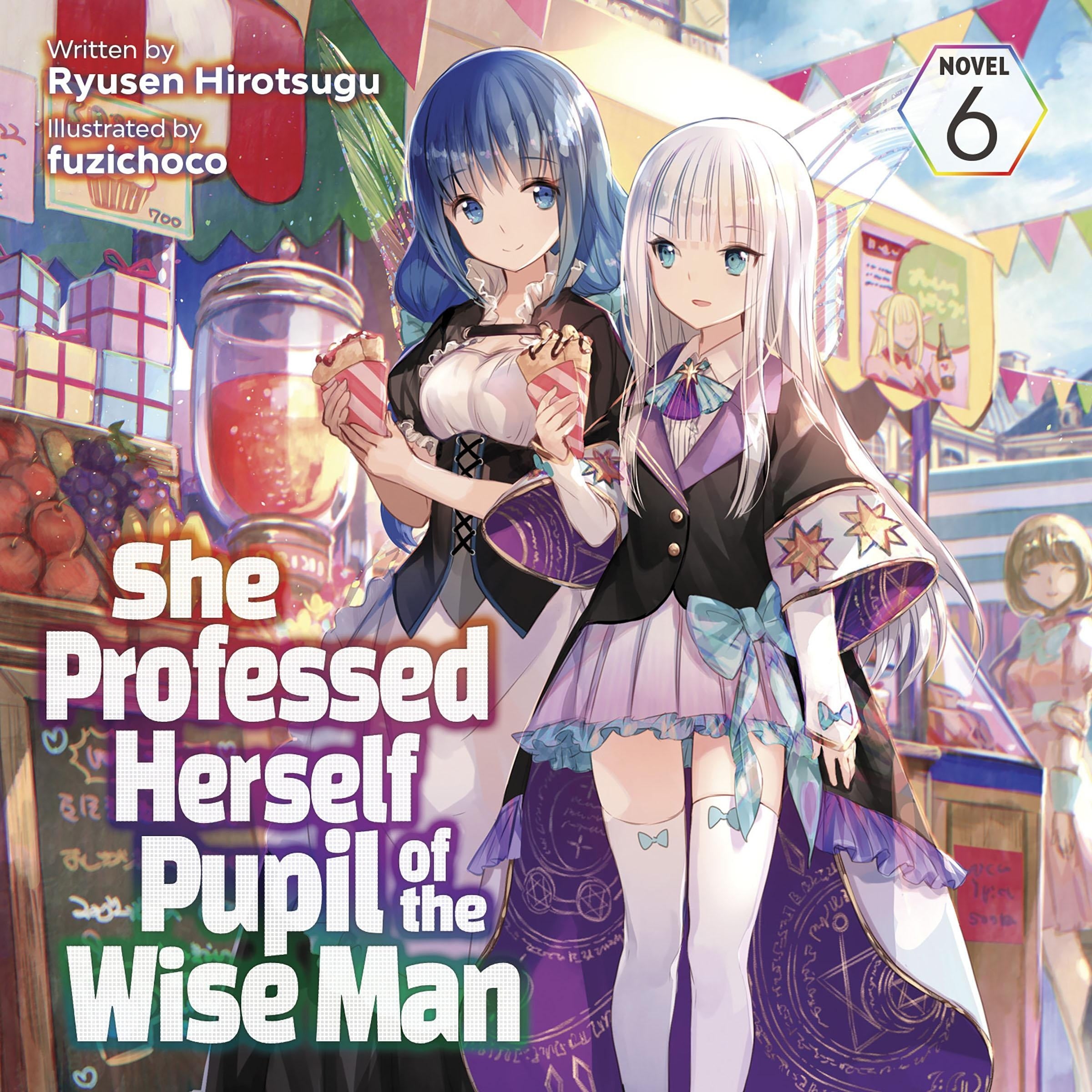 She Professed Herself Pupil of the Wise Man (Light Novel) Vol. 6
