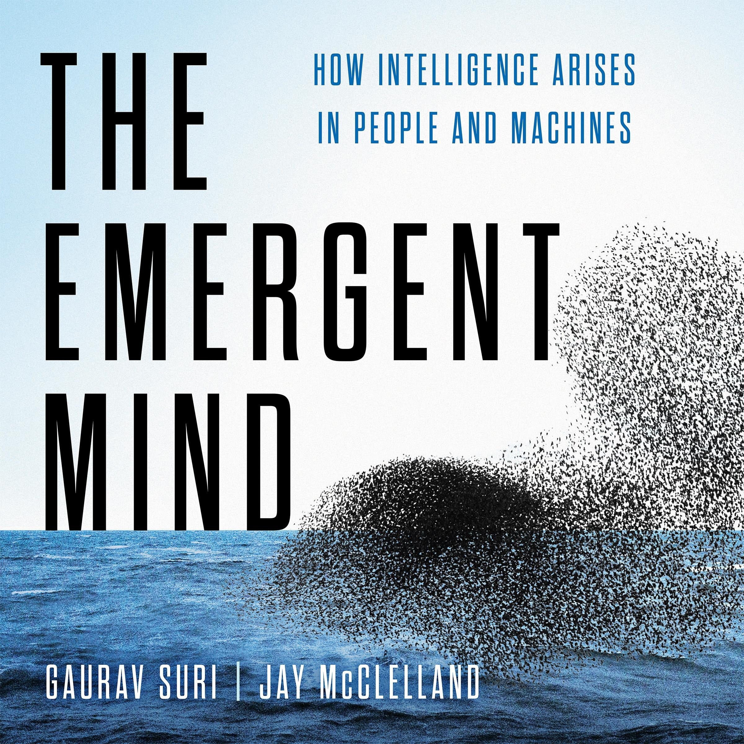 The Emergent Mind