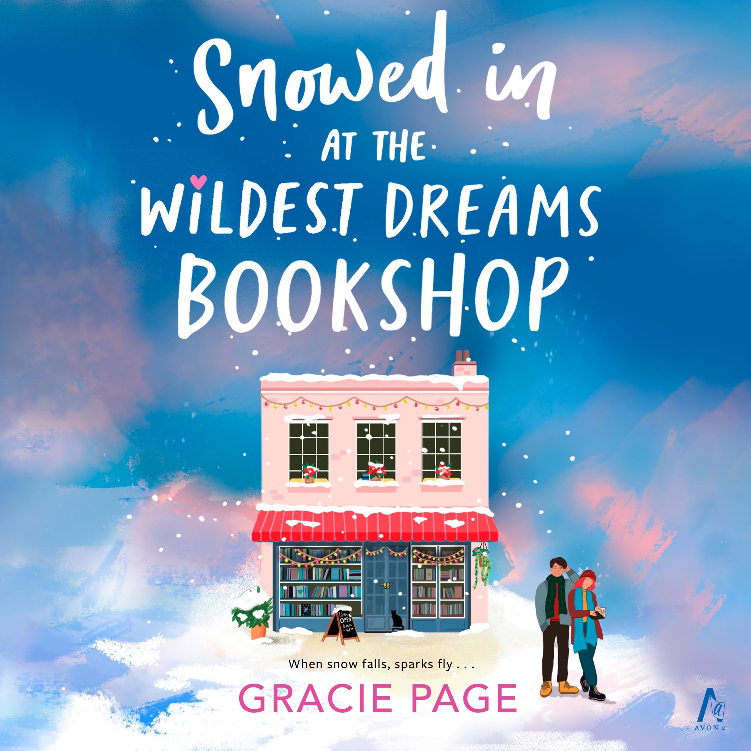Snowed In at the Wildest Dreams Bookshop