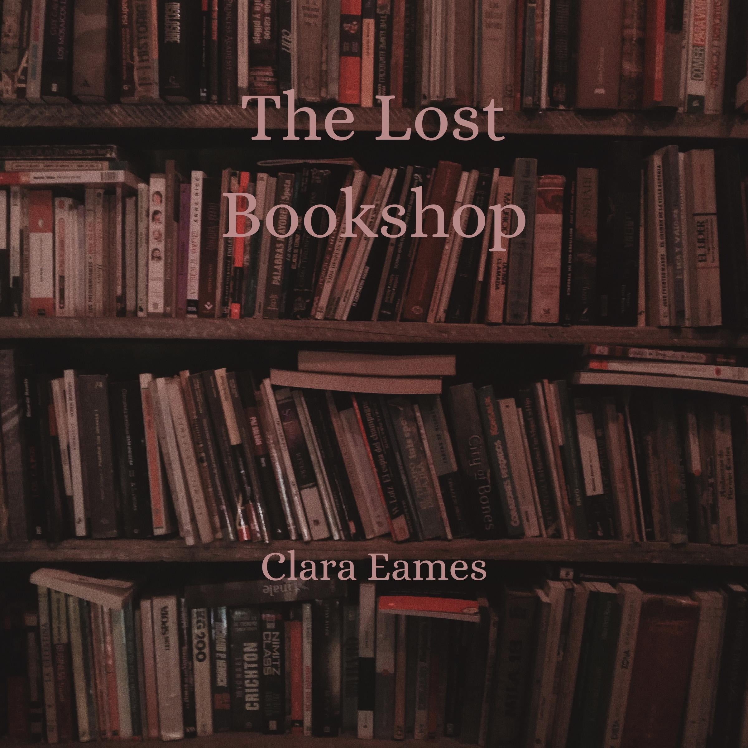 The Lost Bookshop
