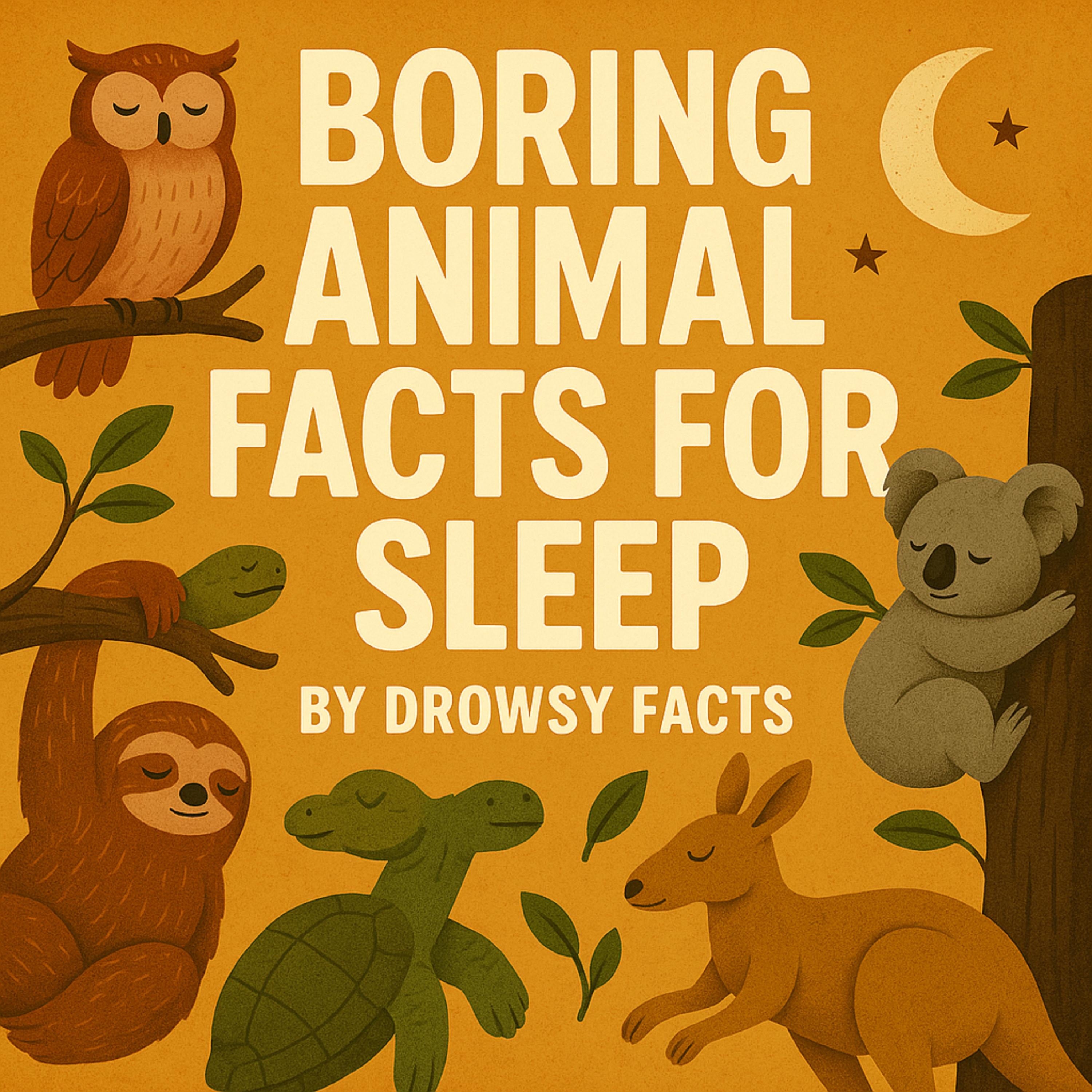 Boring Animal Facts for Sleep