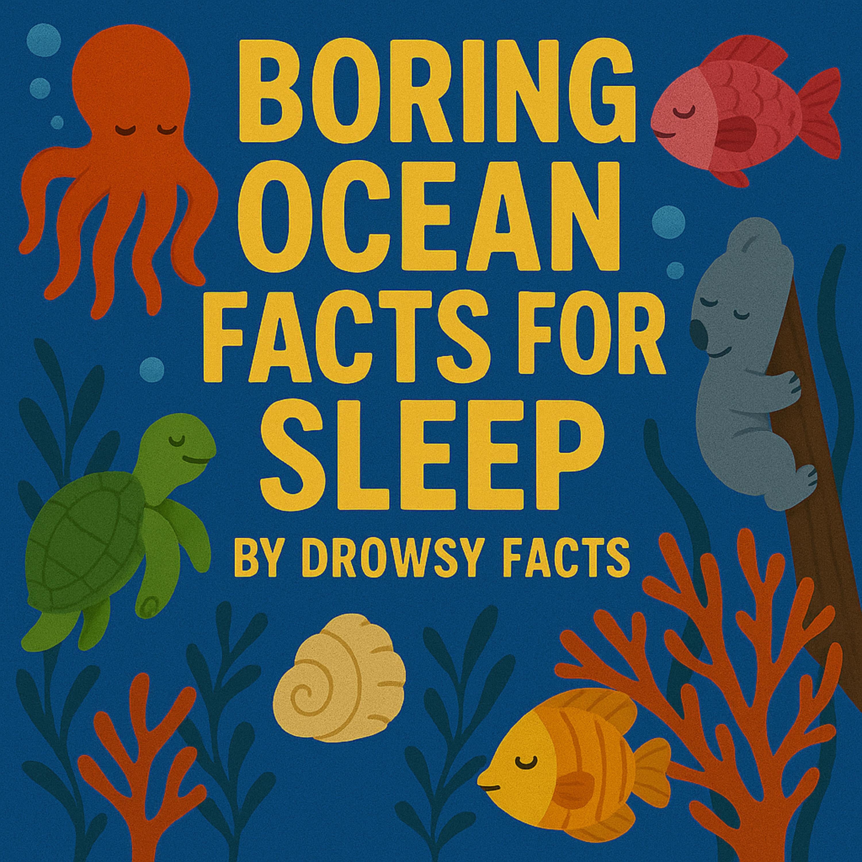 Boring Ocean Facts for Sleep