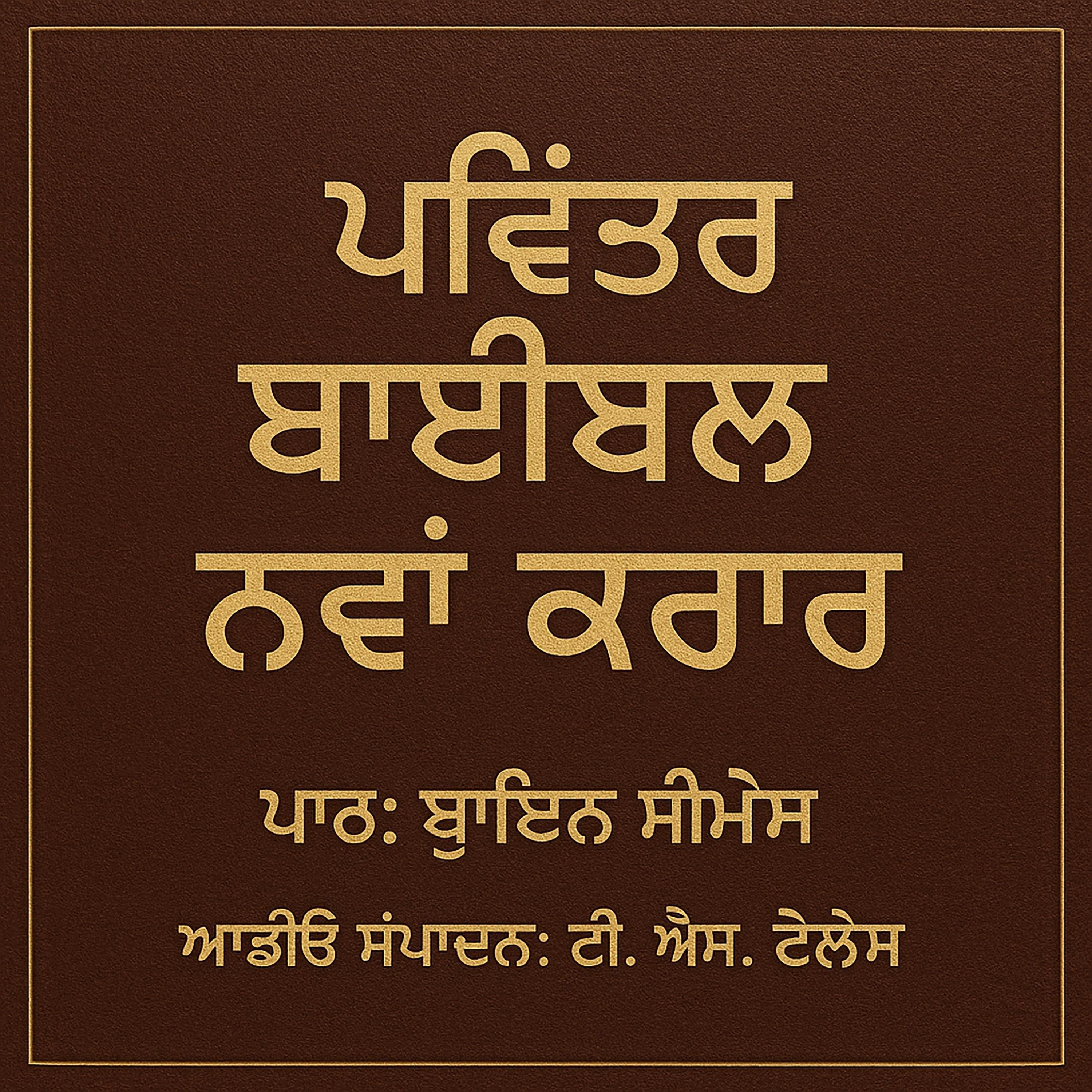 ਪਵਿੱਤਰ ਬਾਈਬਲ - ਨਵਾਂ ਕਰਾਰ