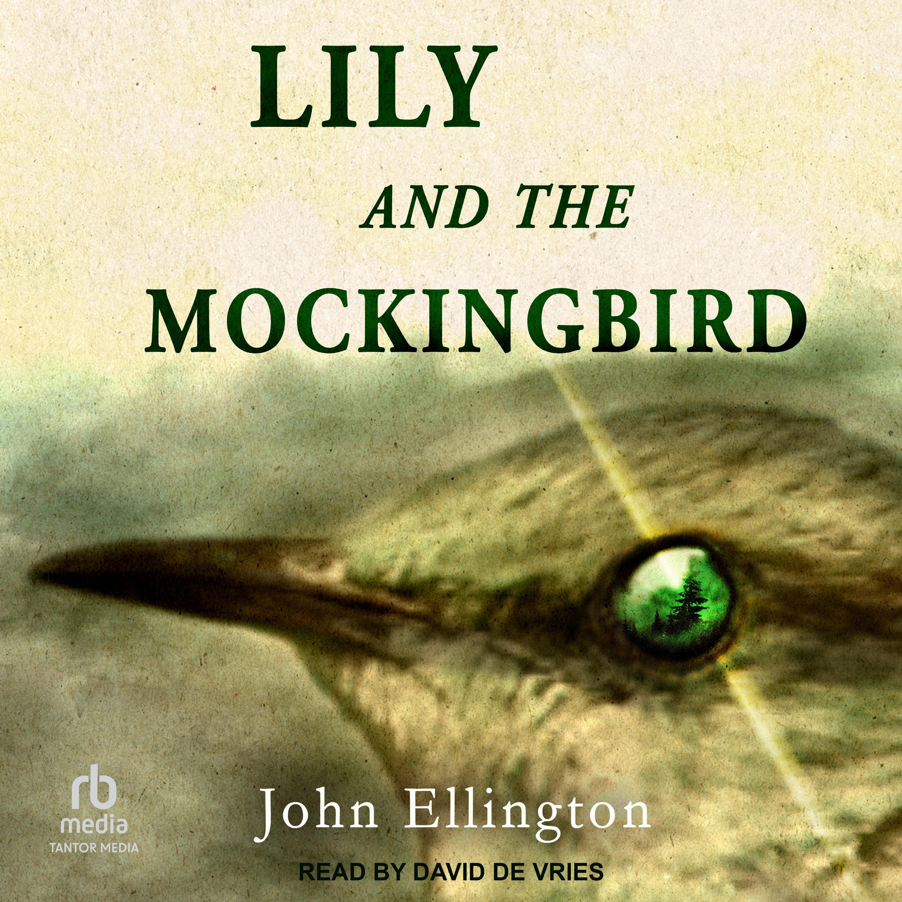 Lily and the Mockingbird