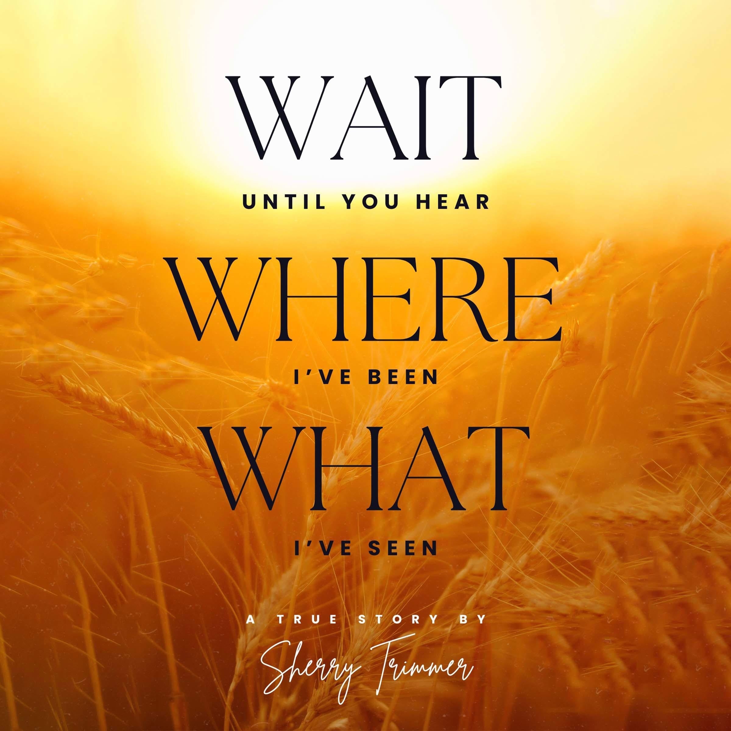 Wait Until You Hear, Where I've Been, What I've Seen