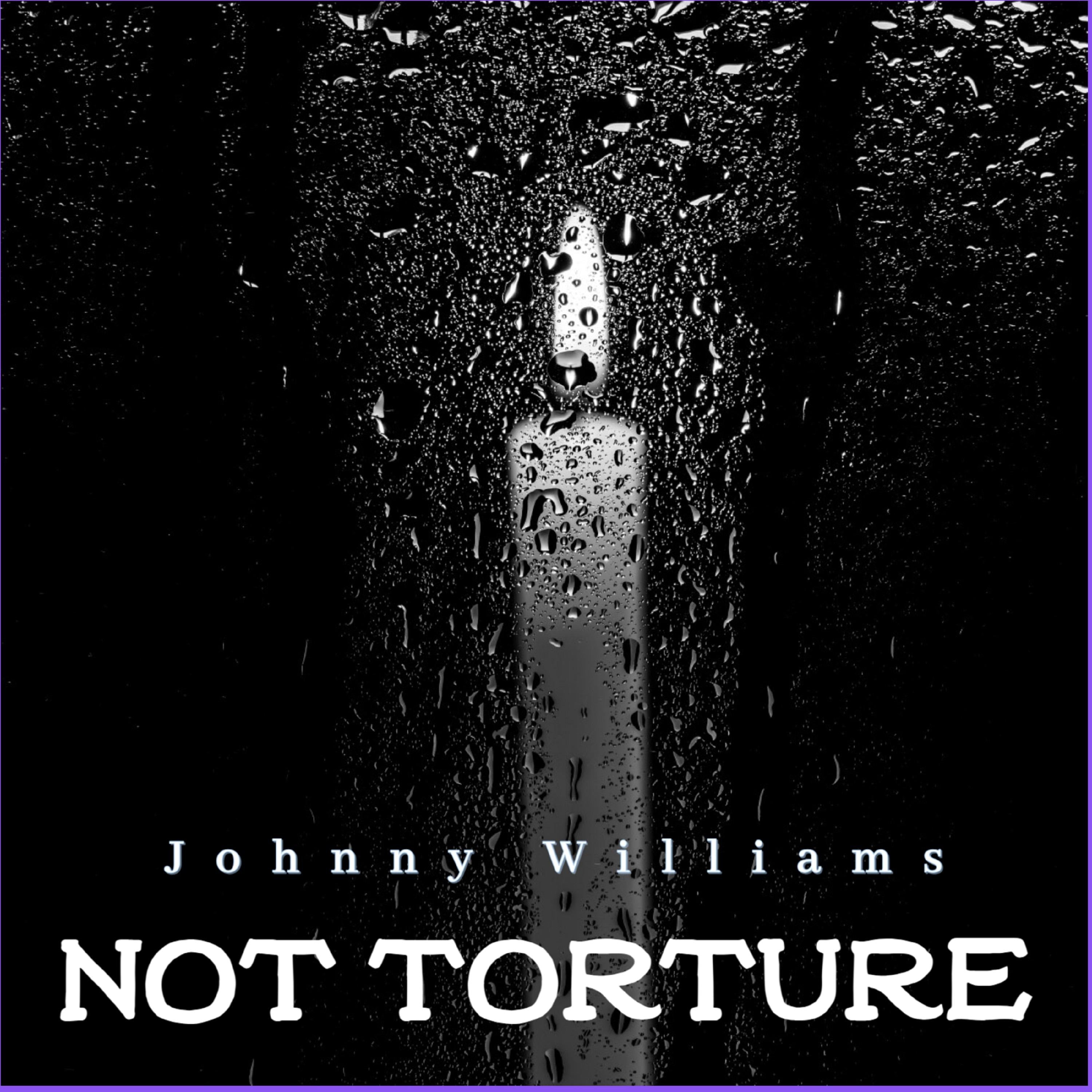 Not Torture