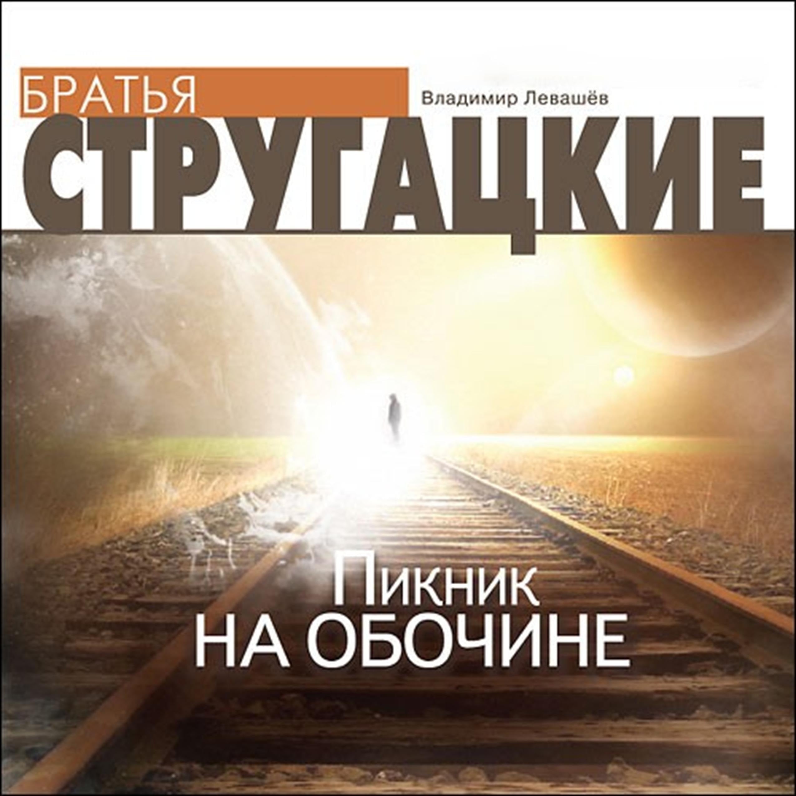 Пикник на обочине