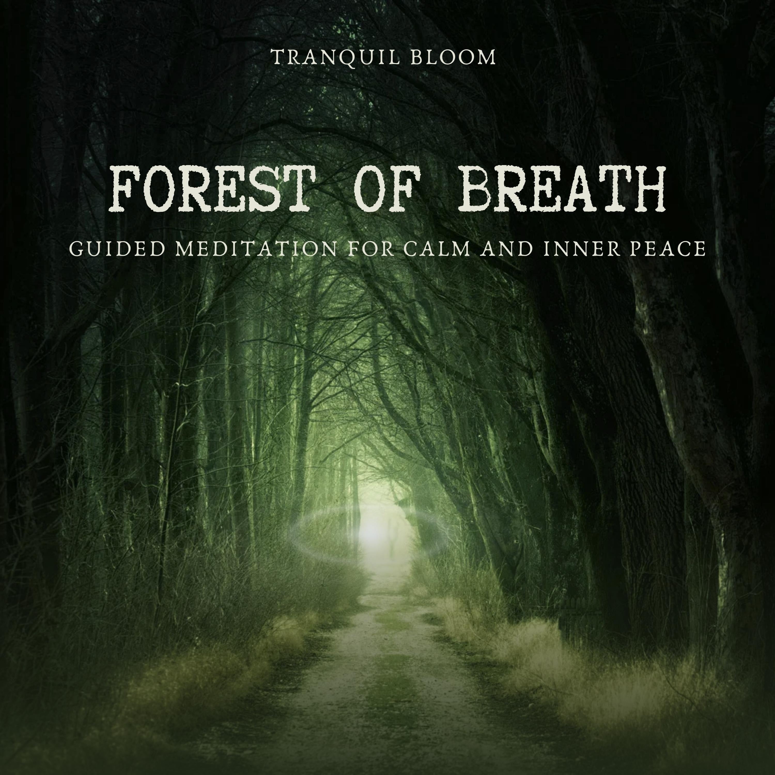 Forest of Breath: Guided Meditation for Calm and Inner Peace