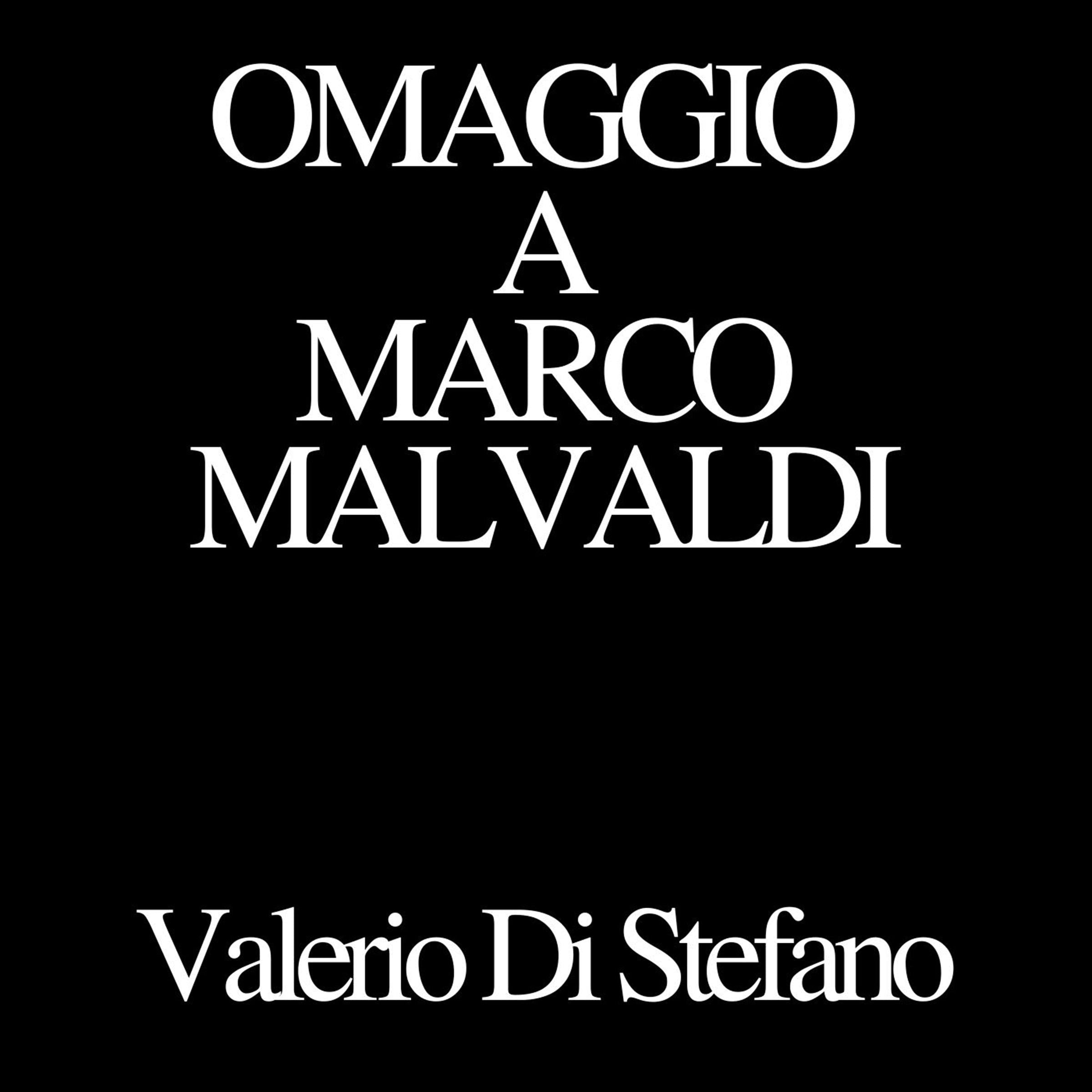 Omaggio a Marco Malvaldi