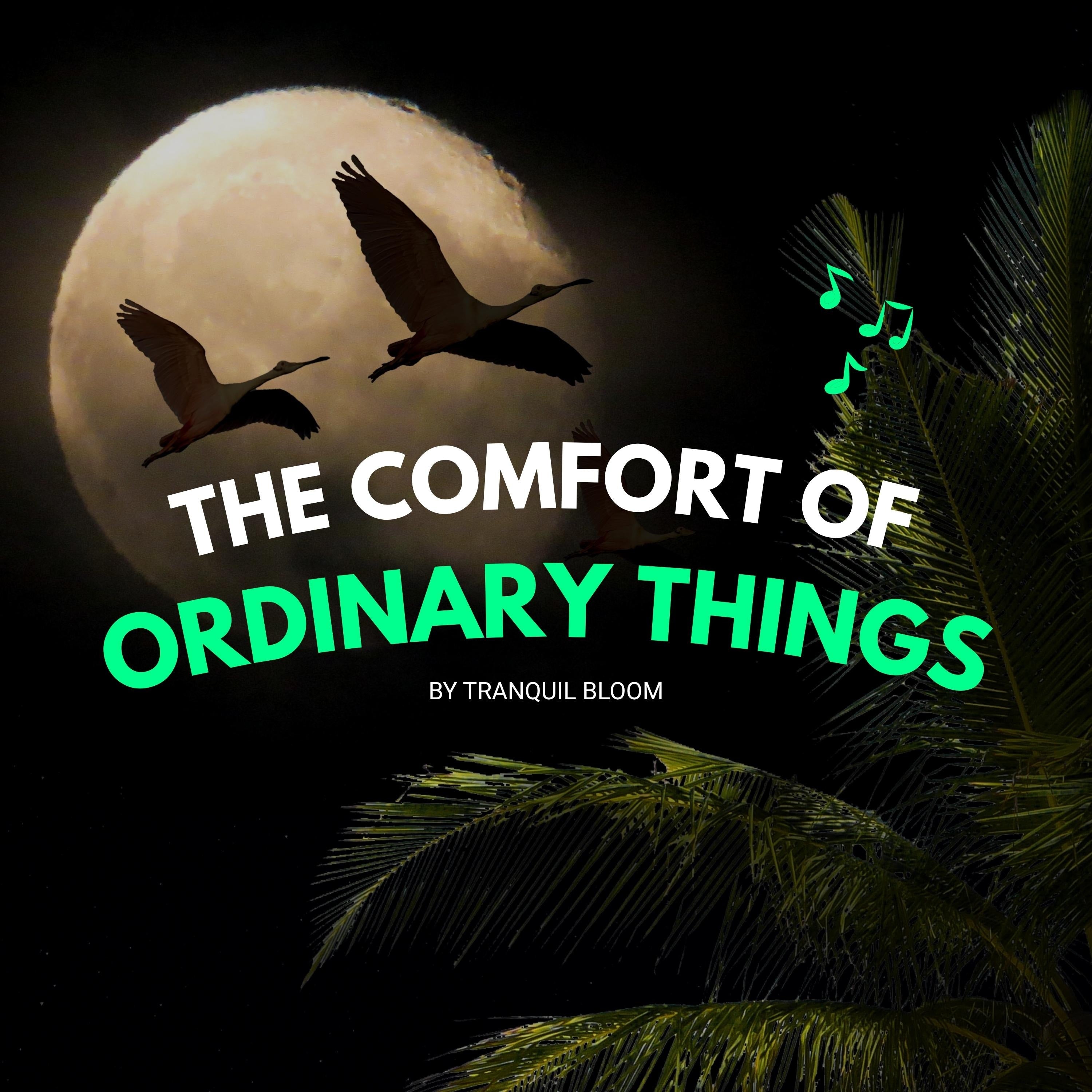 The Comfort of Ordinary Things