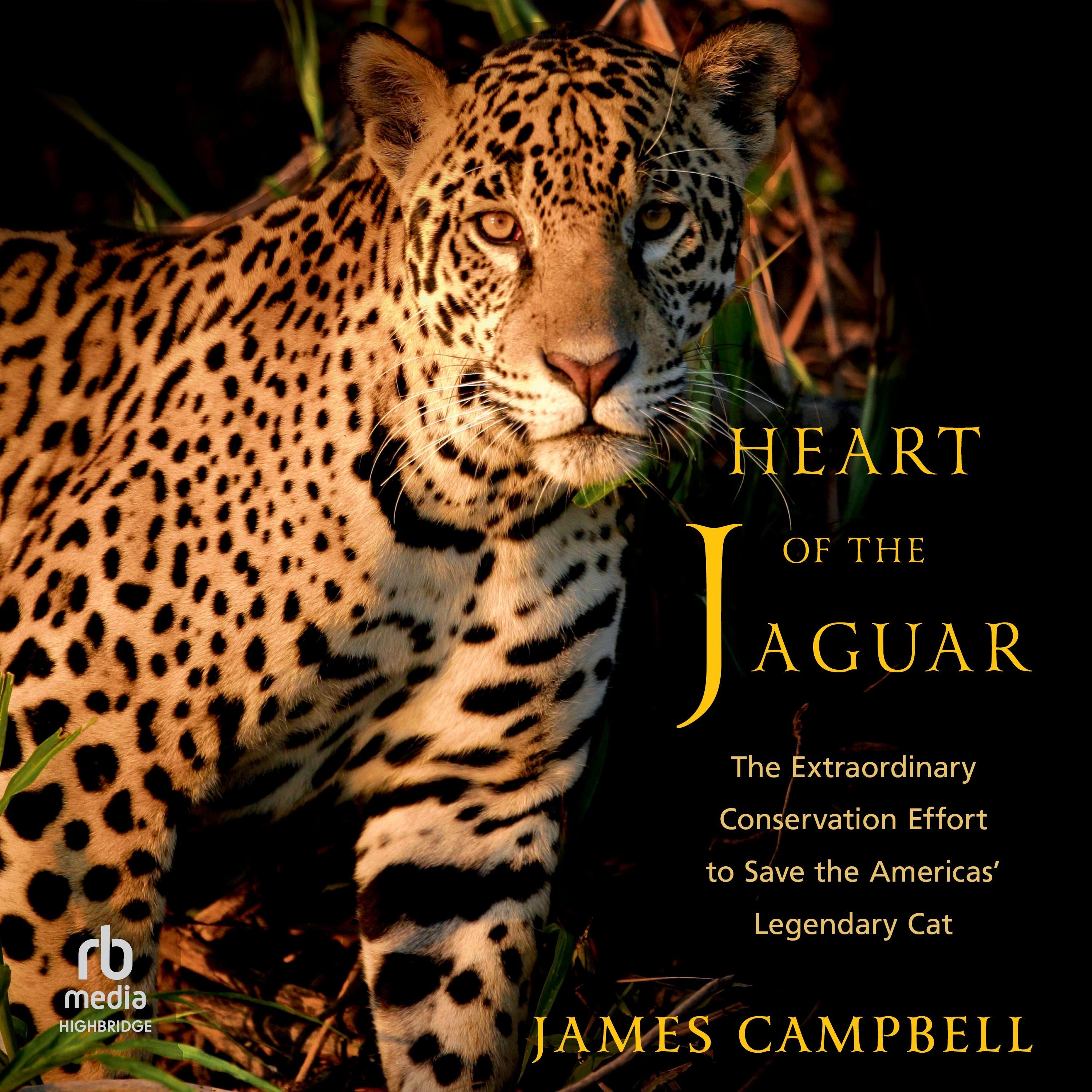 Heart of the Jaguar