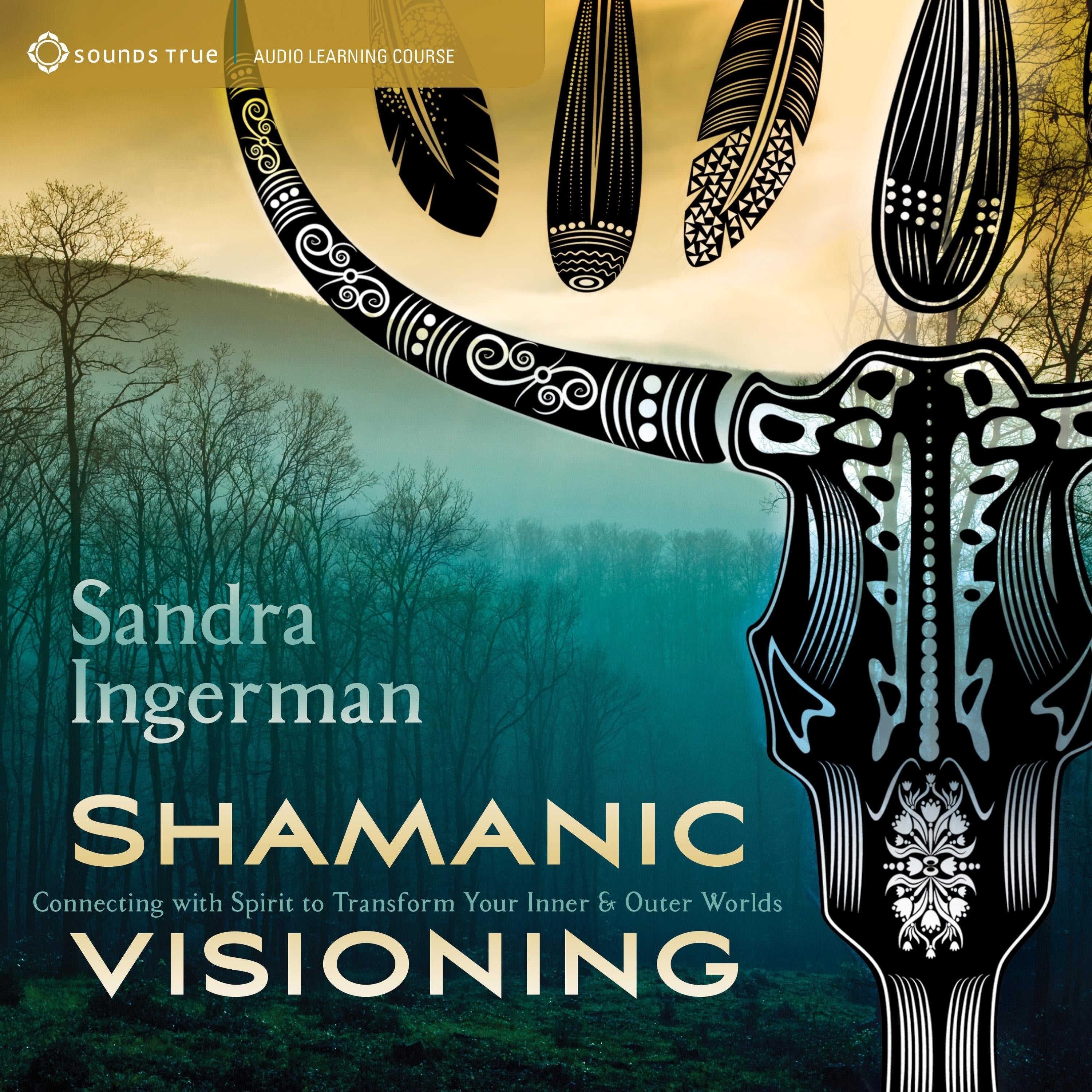 Shamanic Visioning
