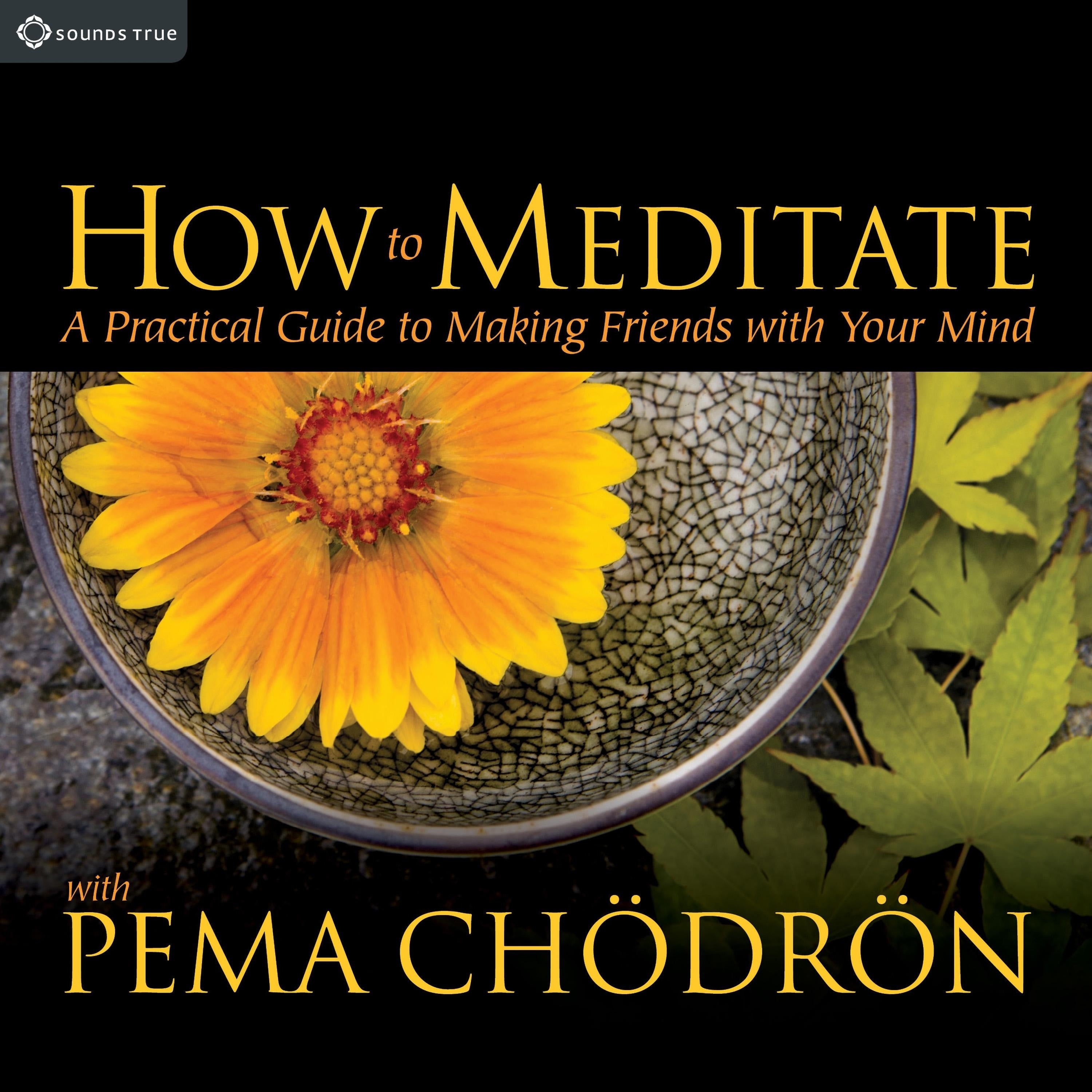 How to Meditate with Pema Chödrön