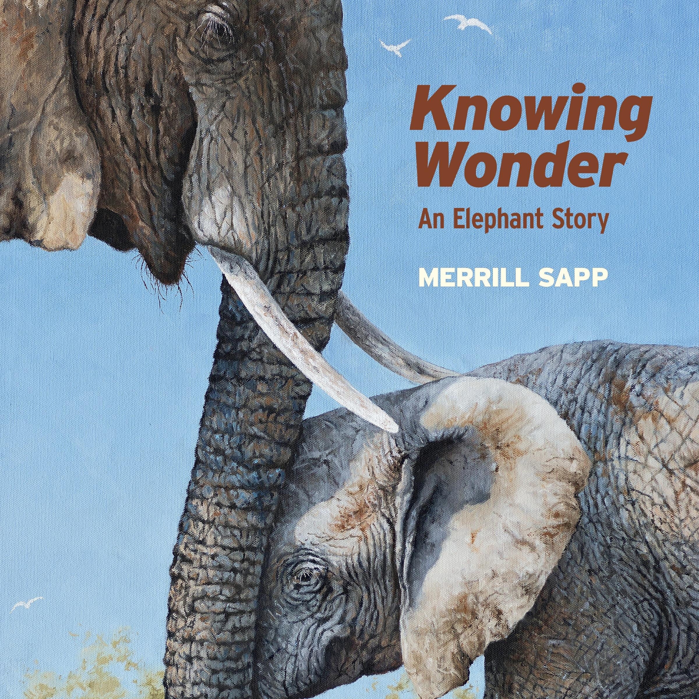 Knowing Wonder