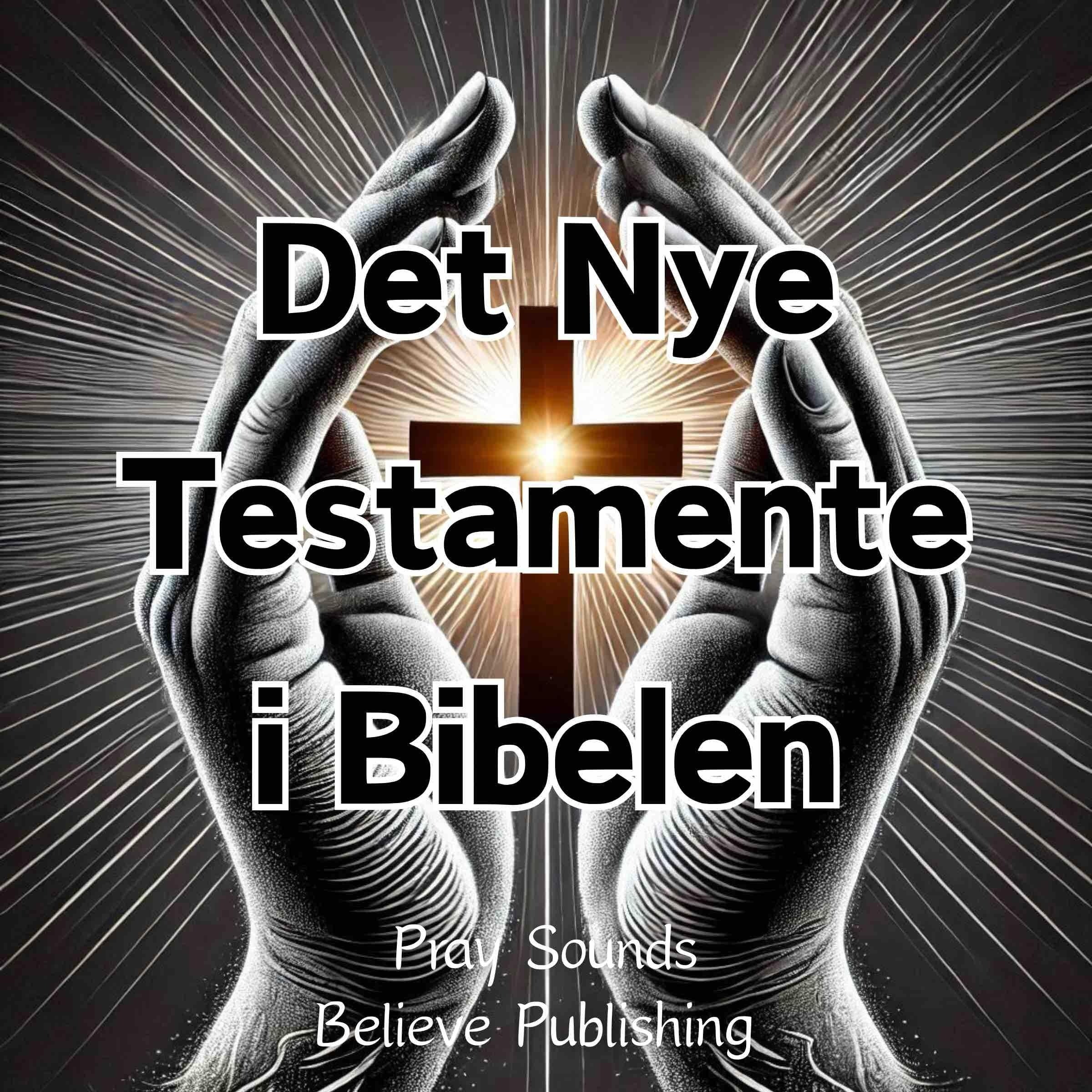 Det Nye Testamente i Bibelen