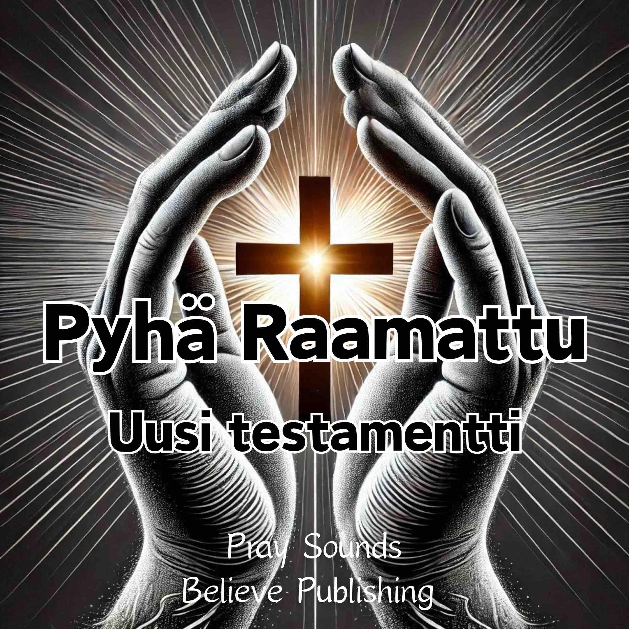 Pyhä Raamattu ｜ Uusi Testamentti
