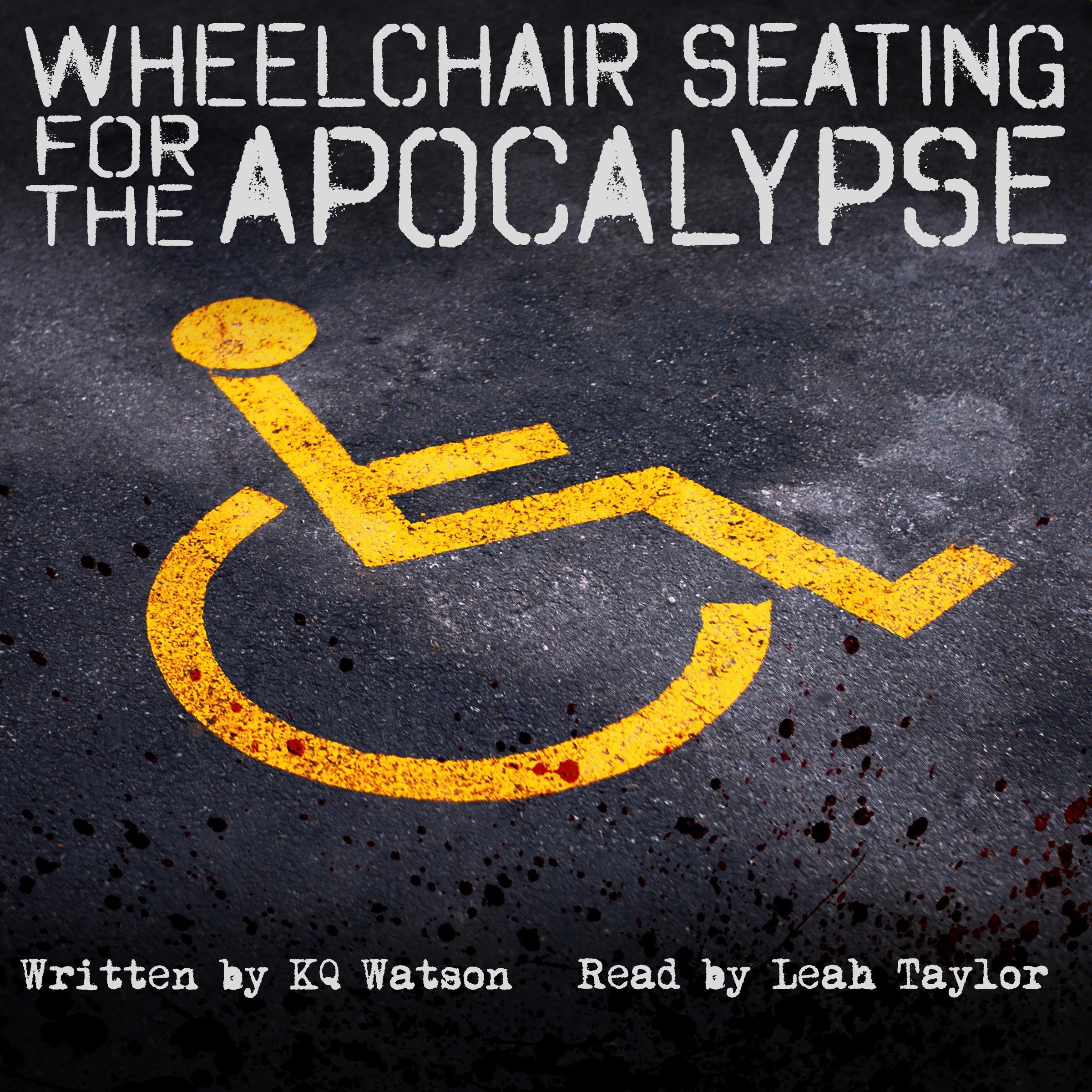 Wheelchair Seating For the Apocalypse