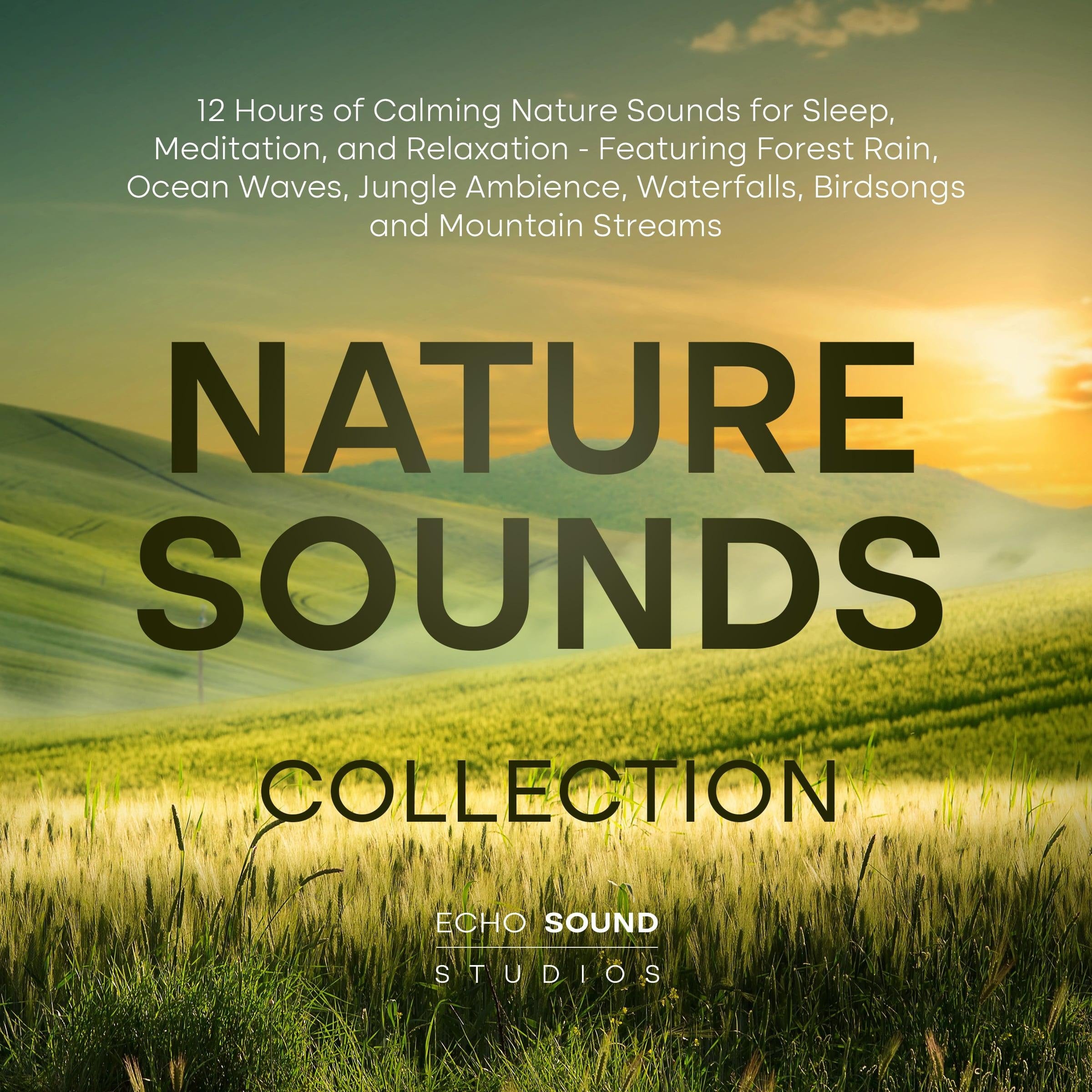 Nature Sounds Collection: 12 Hours of Calming Nature Sounds for Sleep, Meditation, and Relaxation - Featuring Forest Rain, Ocean Waves, Jungle Ambience, Waterfalls, Birdsongs and Mountain Streams