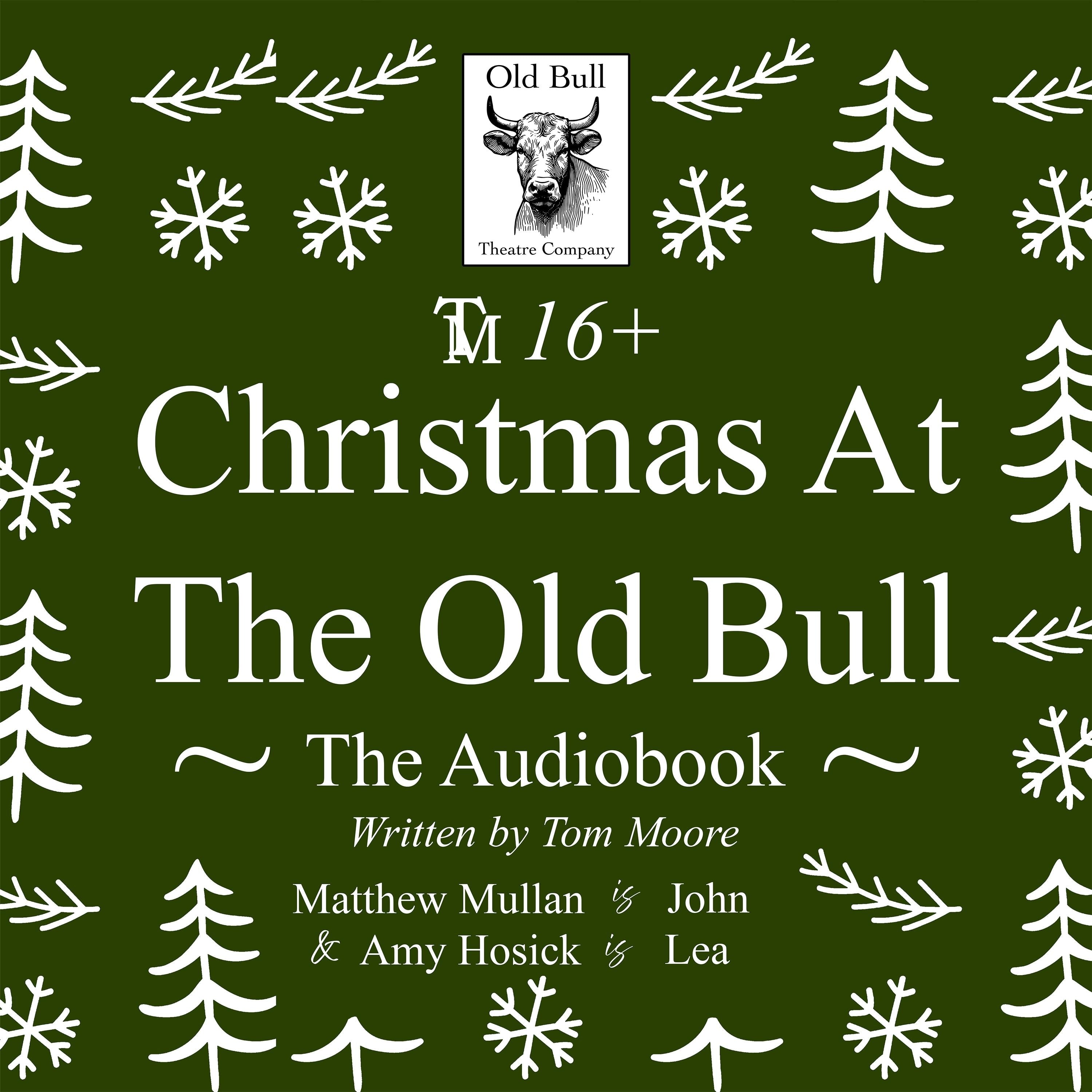 Christmas At The Old Bull