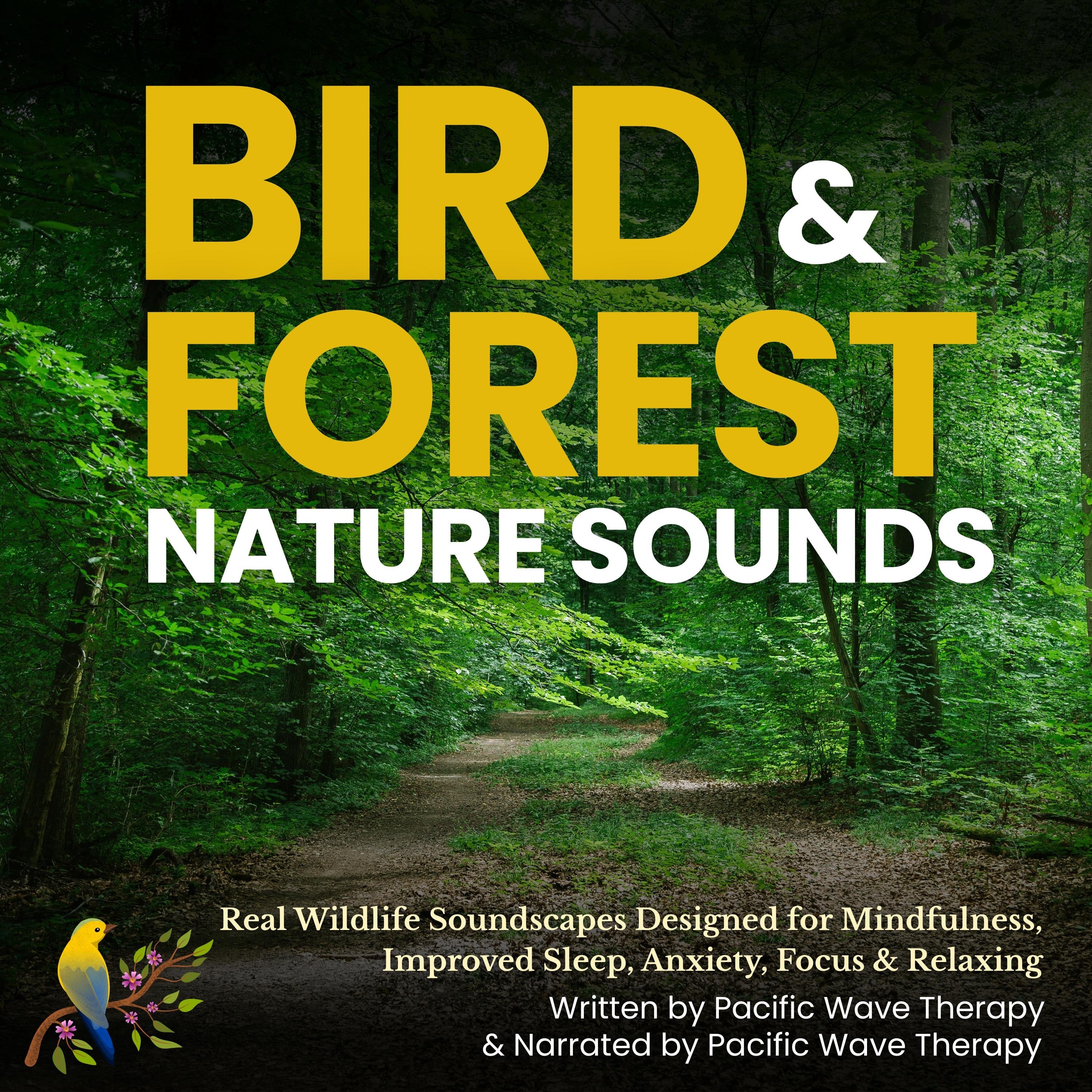Bird & Forest Nature Sounds