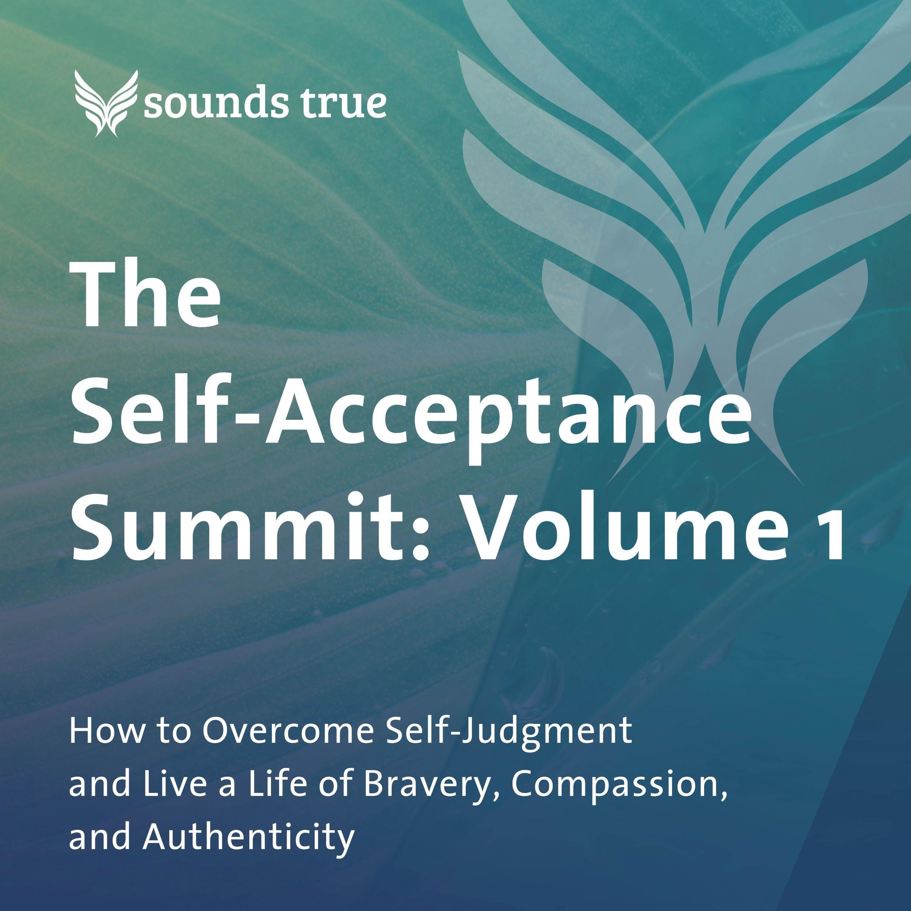 The Self-Acceptance Summit: Volume 1