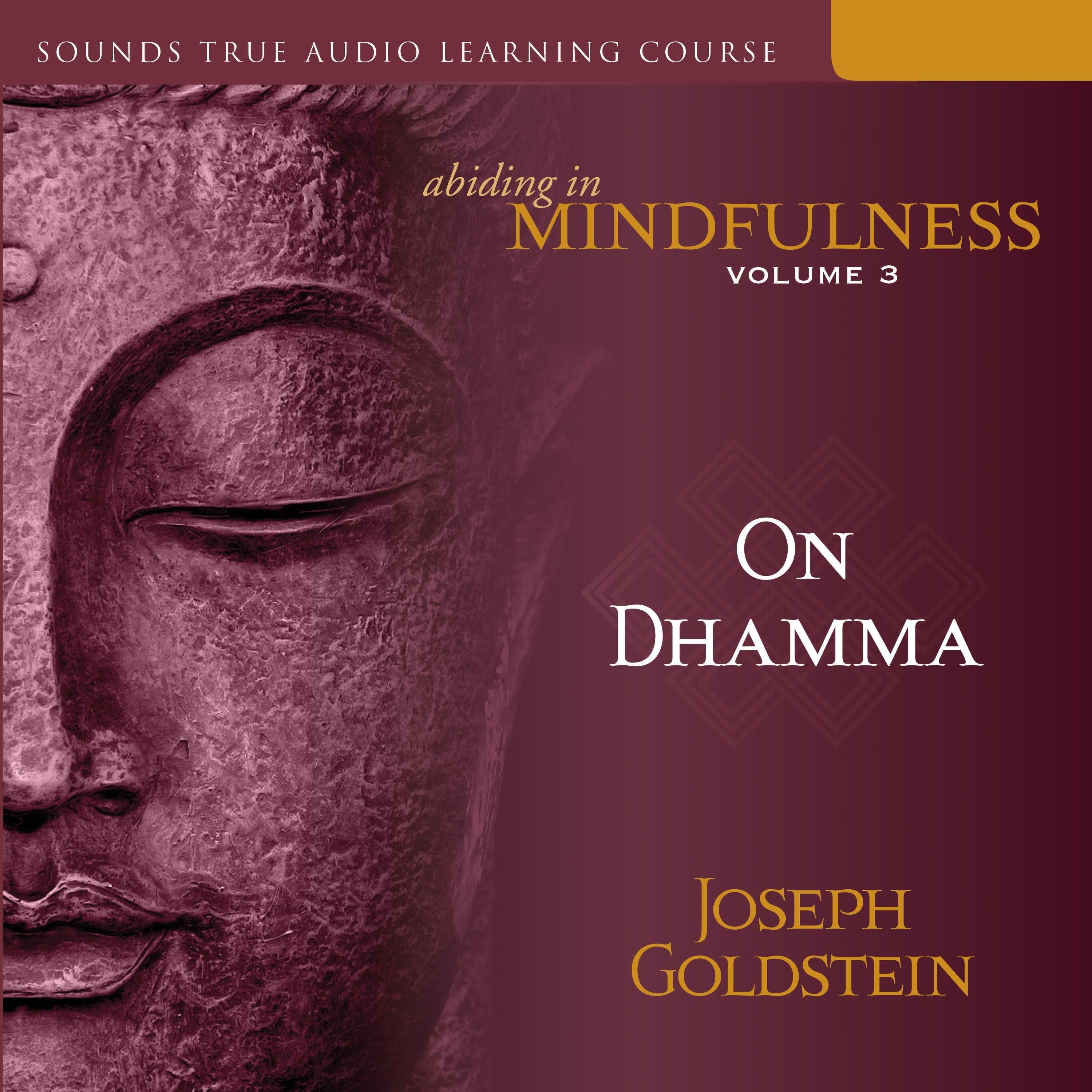 Abiding in Mindfulness, Volume 3