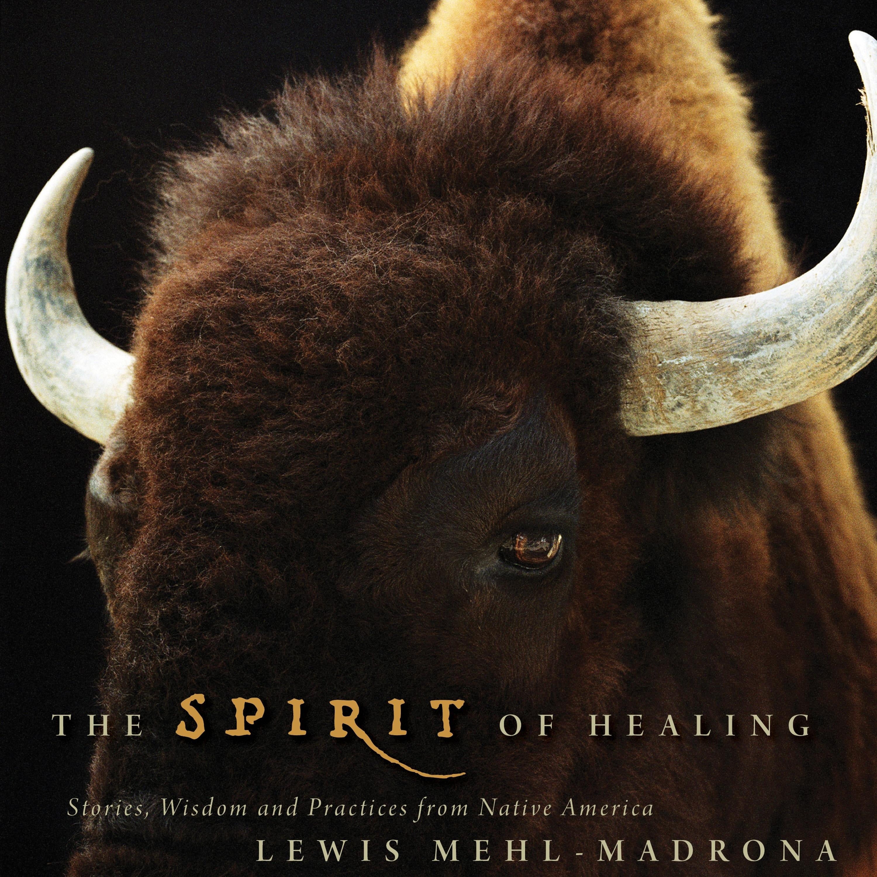 The Spirit of Healing
