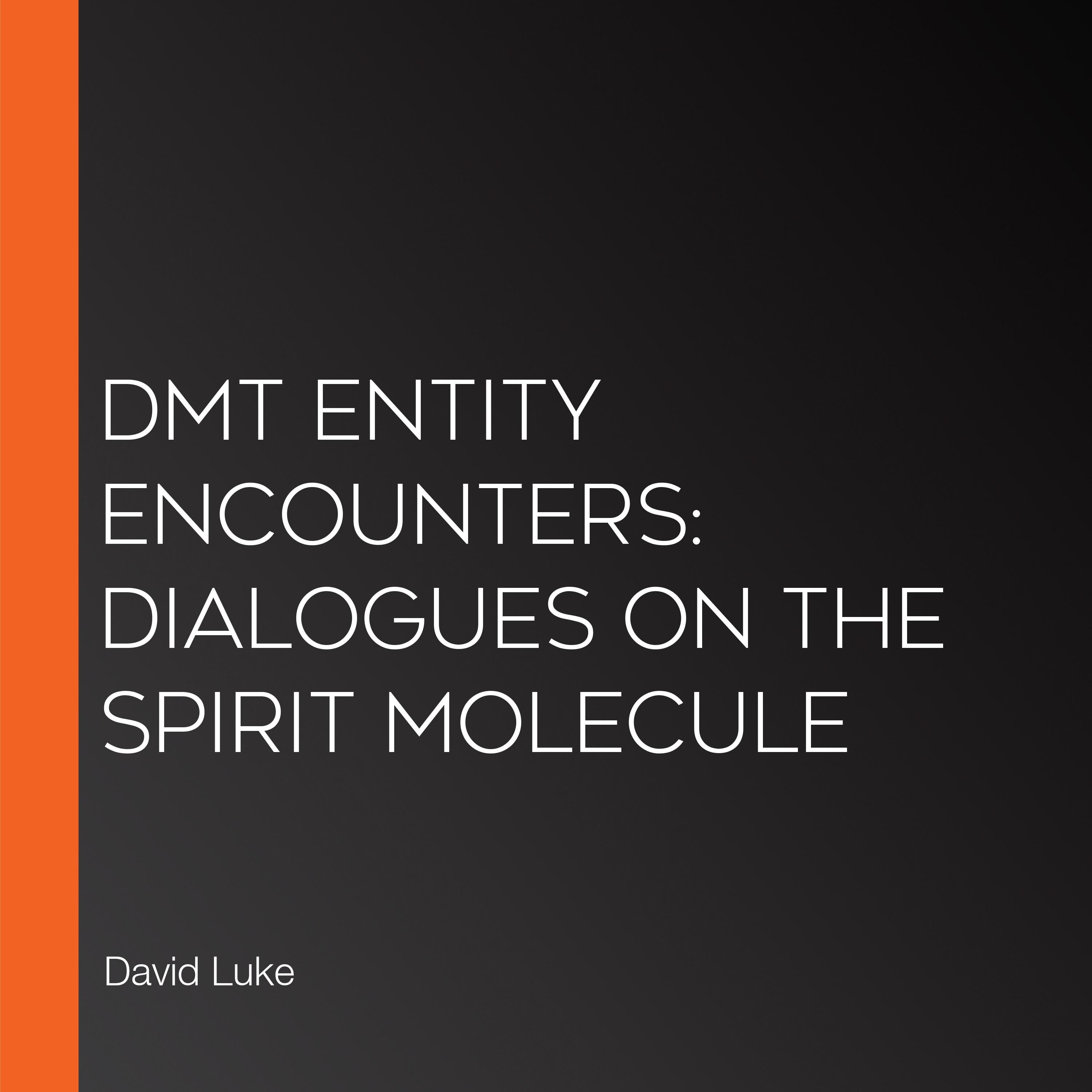 DMT Entity Encounters: Dialogues on the Spirit Molecule