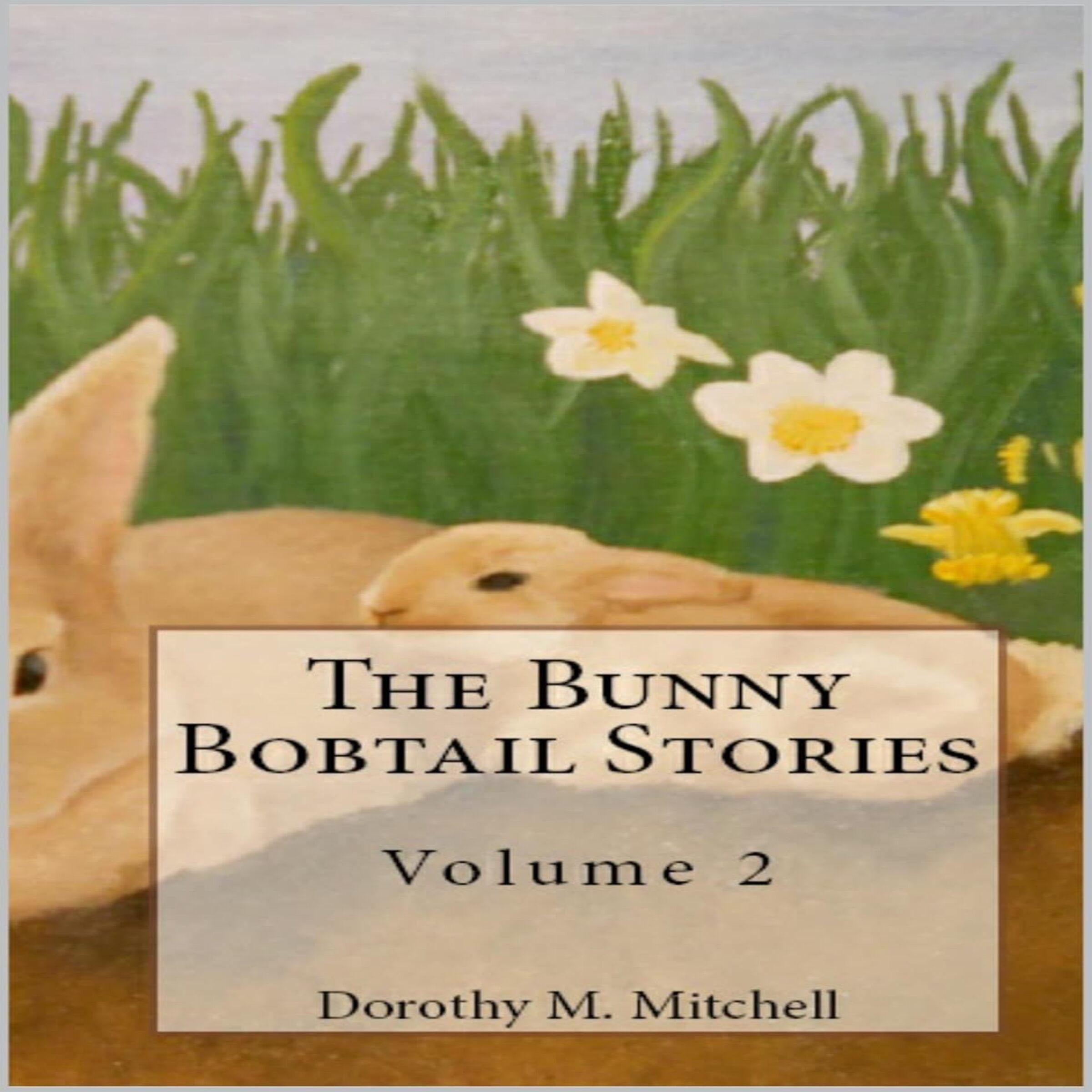 The Bunny Bobtail Stories:  Volume 2