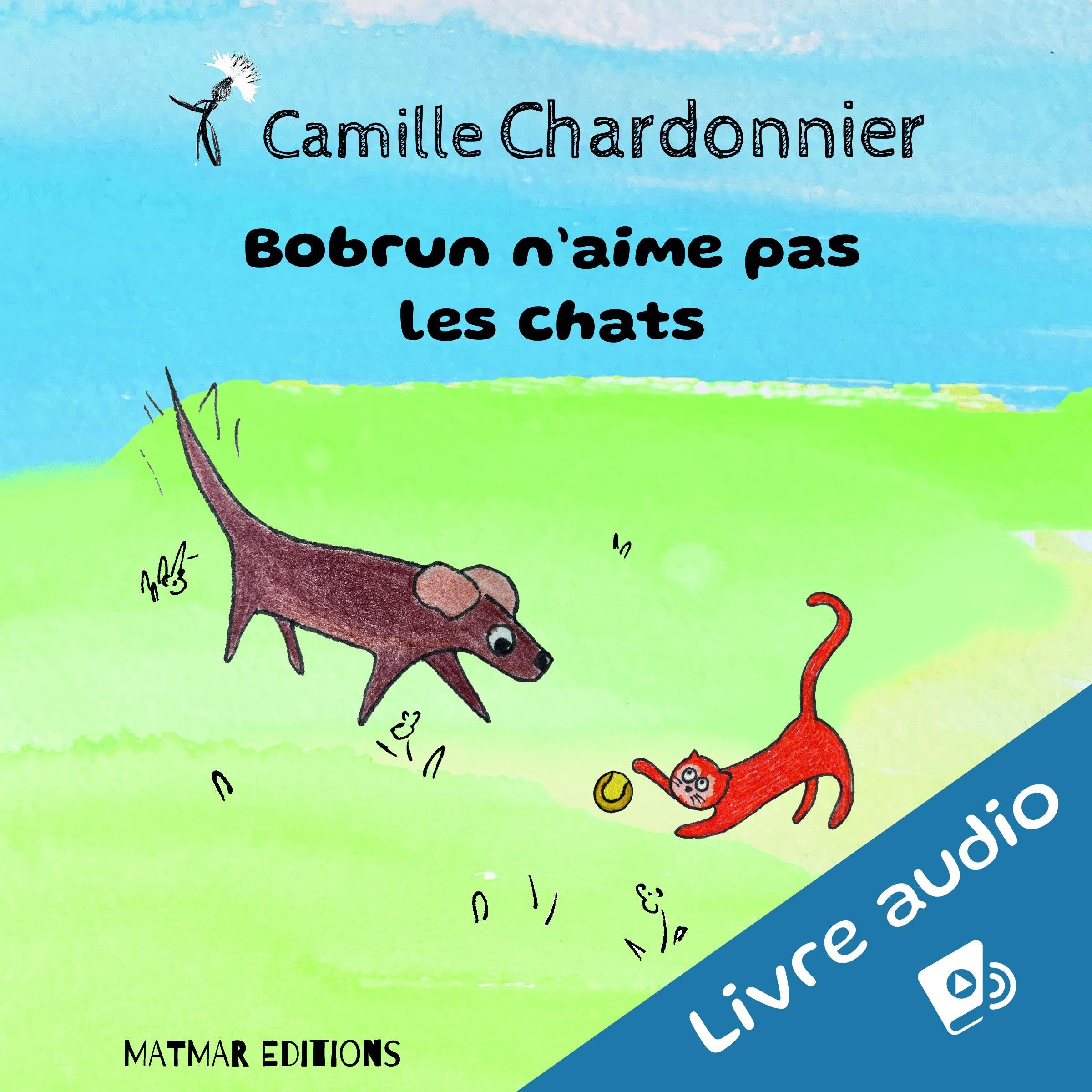 Bobrun n'aime pas les chats