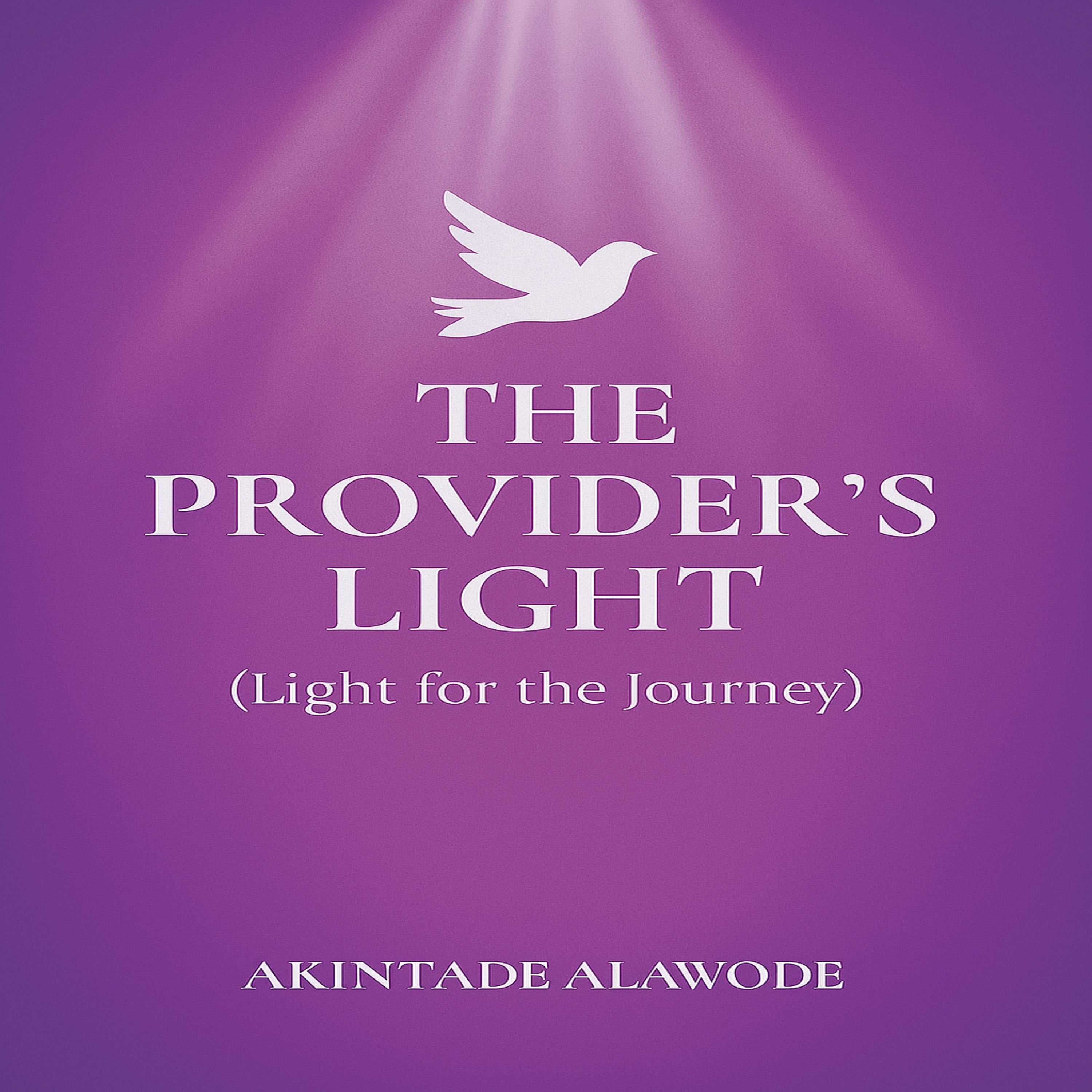The Provider's Light