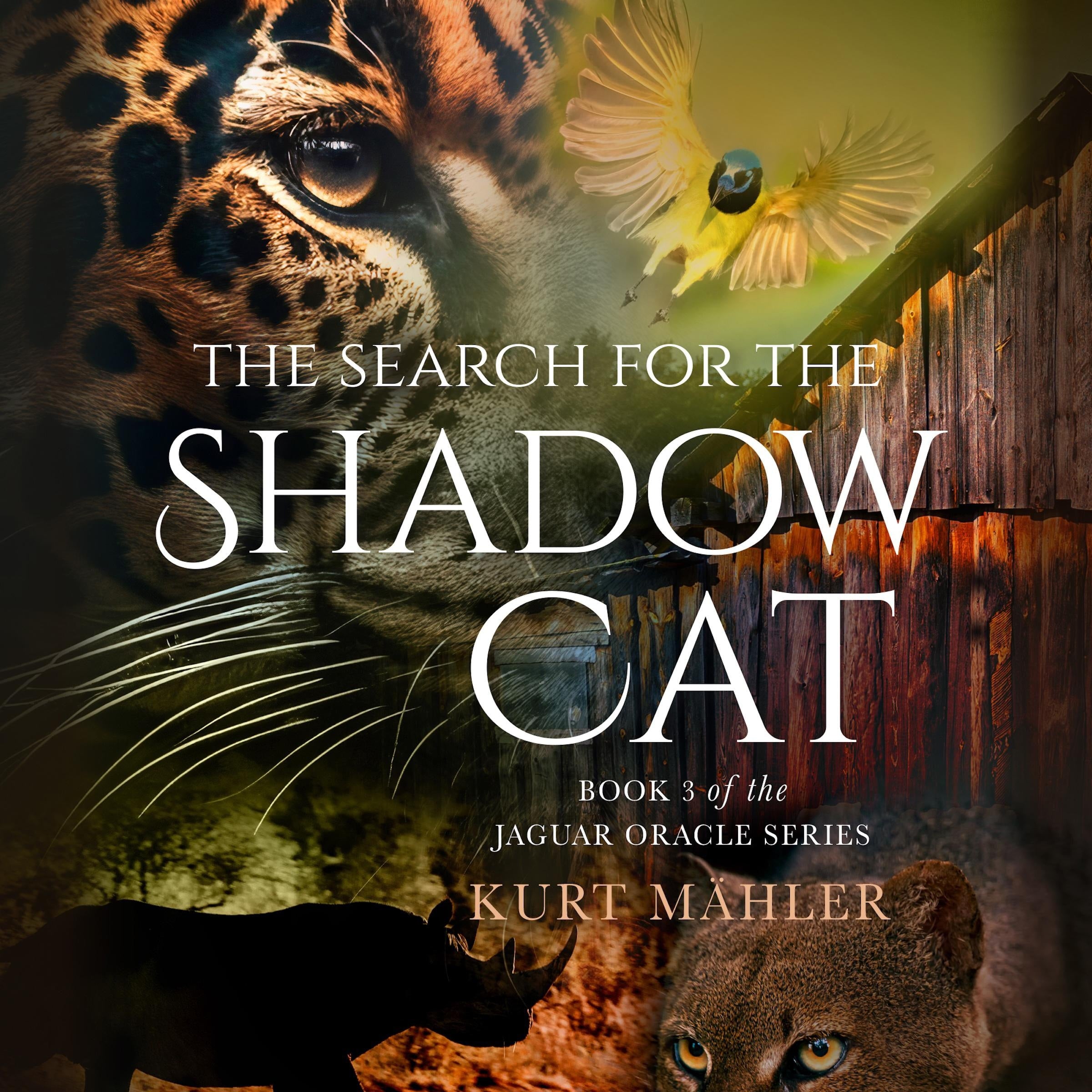 The Search for the Shadow Cat