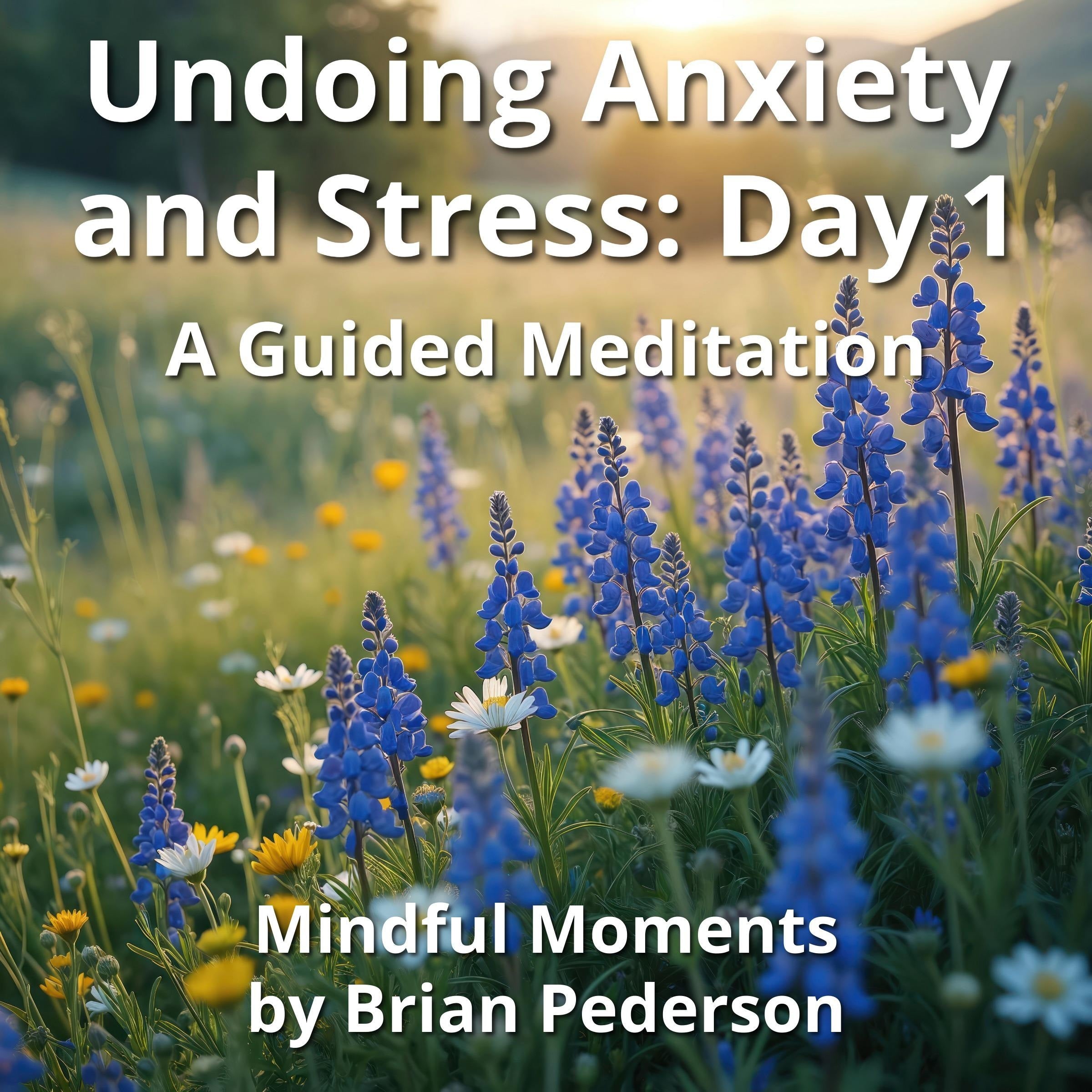 Undoing Anxiety and Stress: Day 1